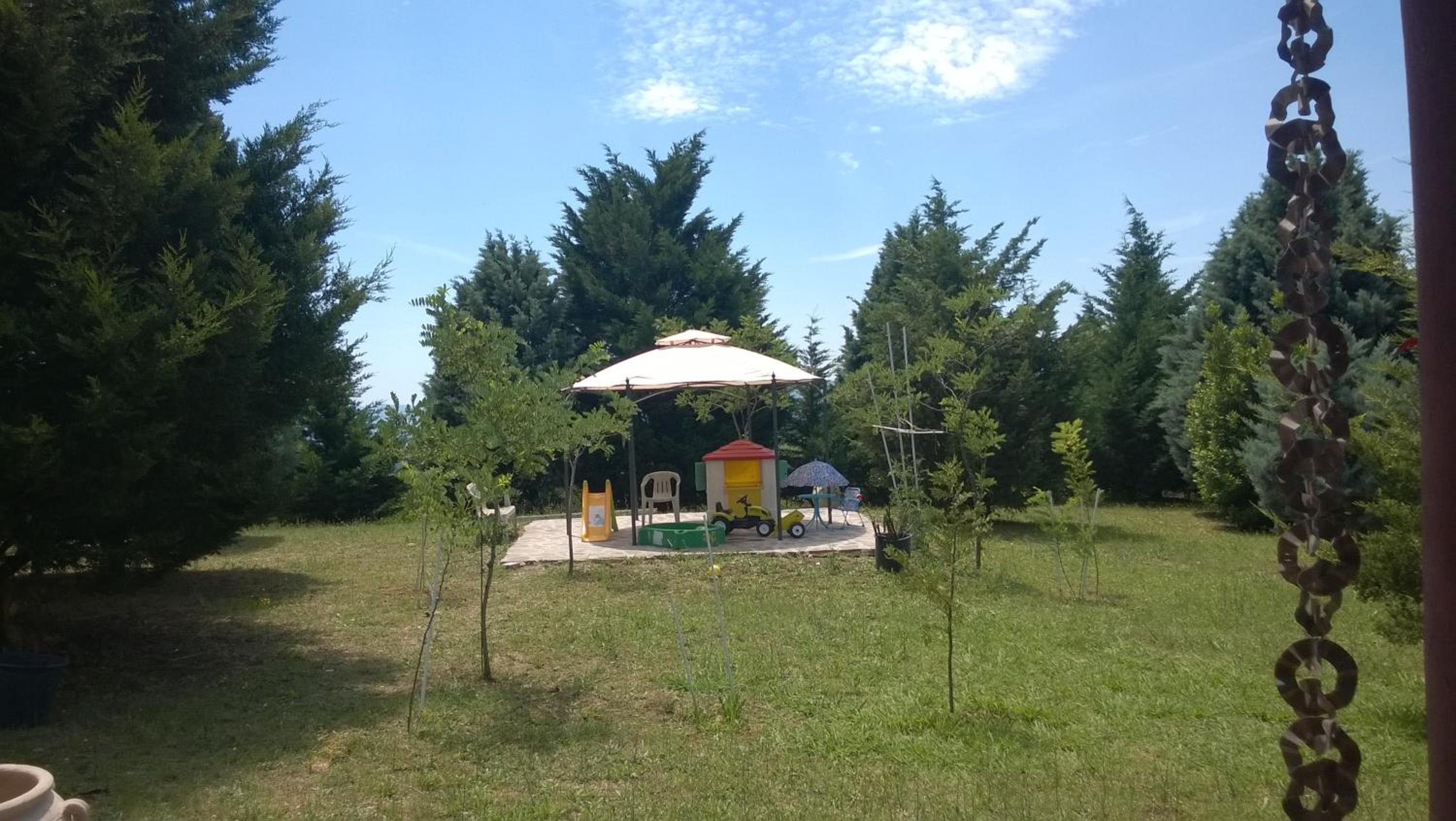 Photo 15