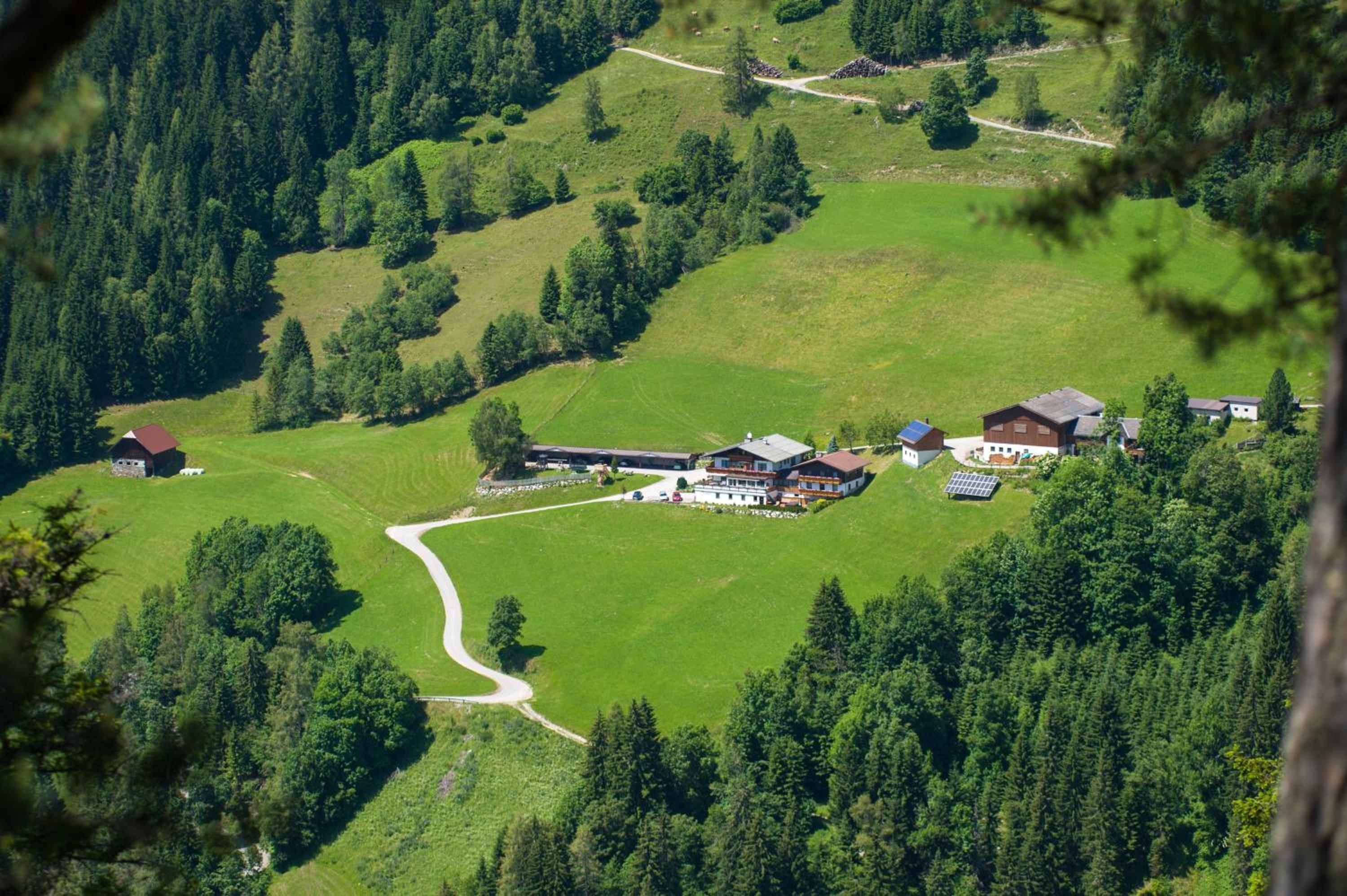 Pension Bergbauernhof Irxner