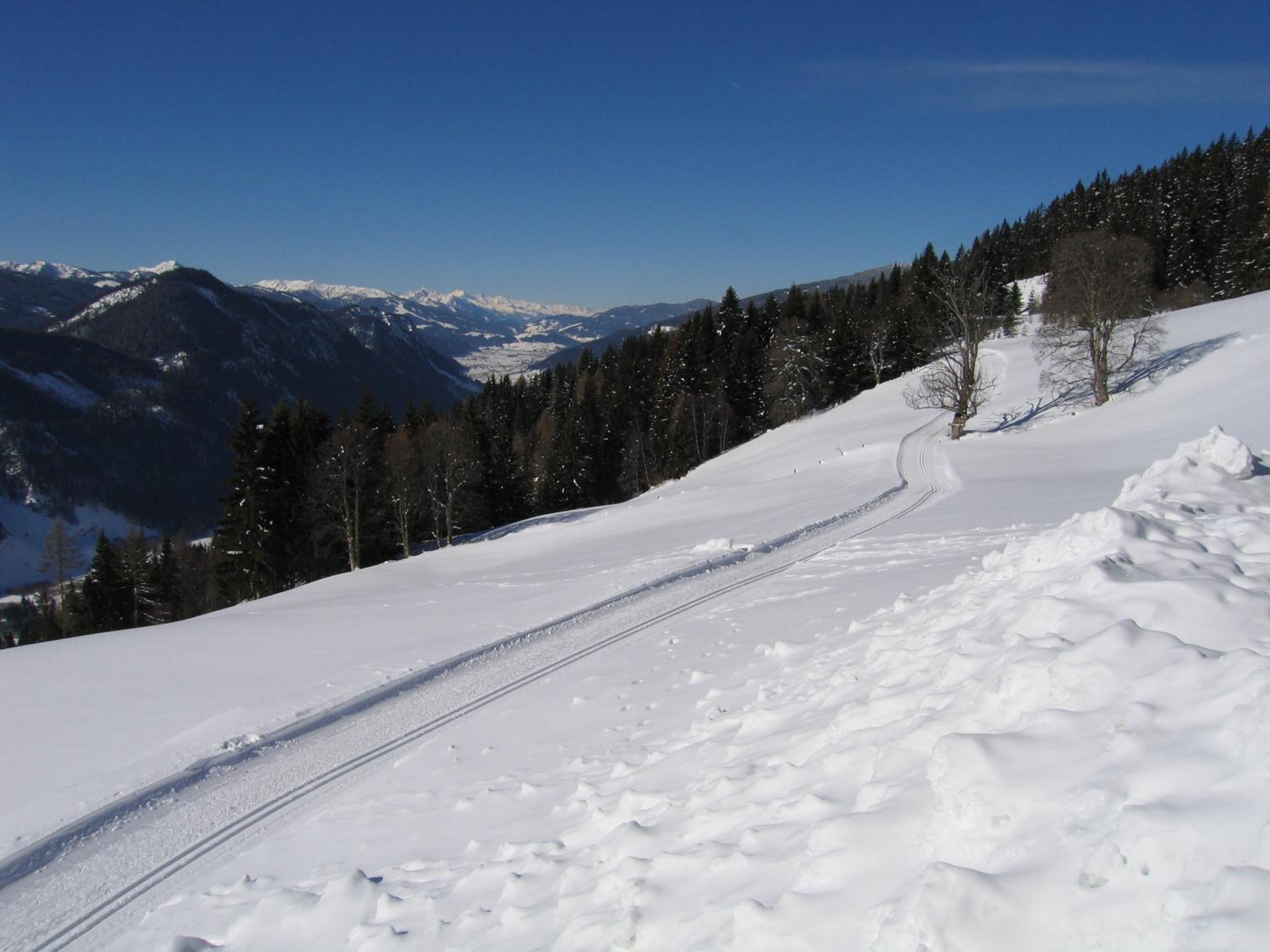 Pension Bergbauernhof Irxner