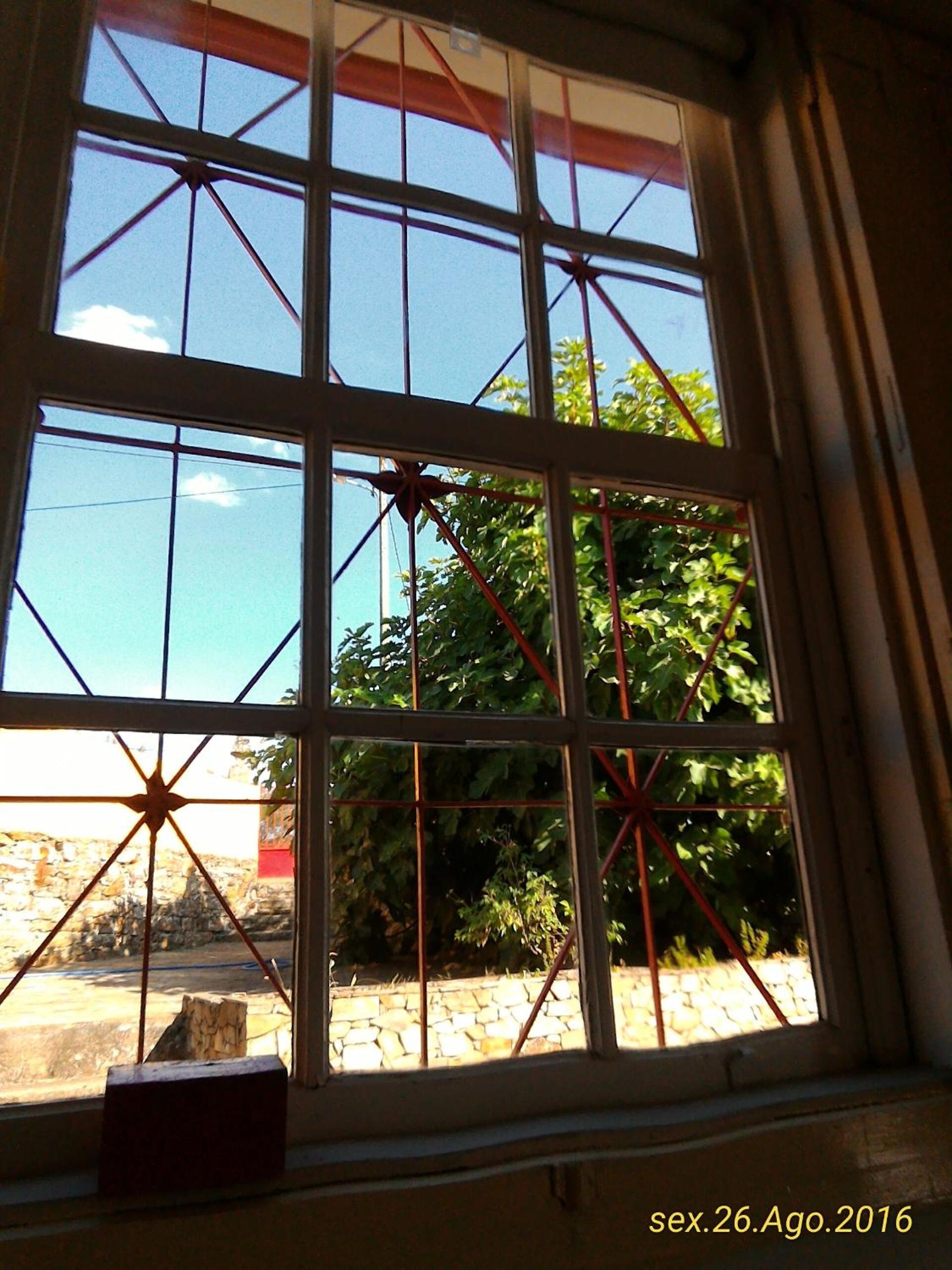 Photo 44