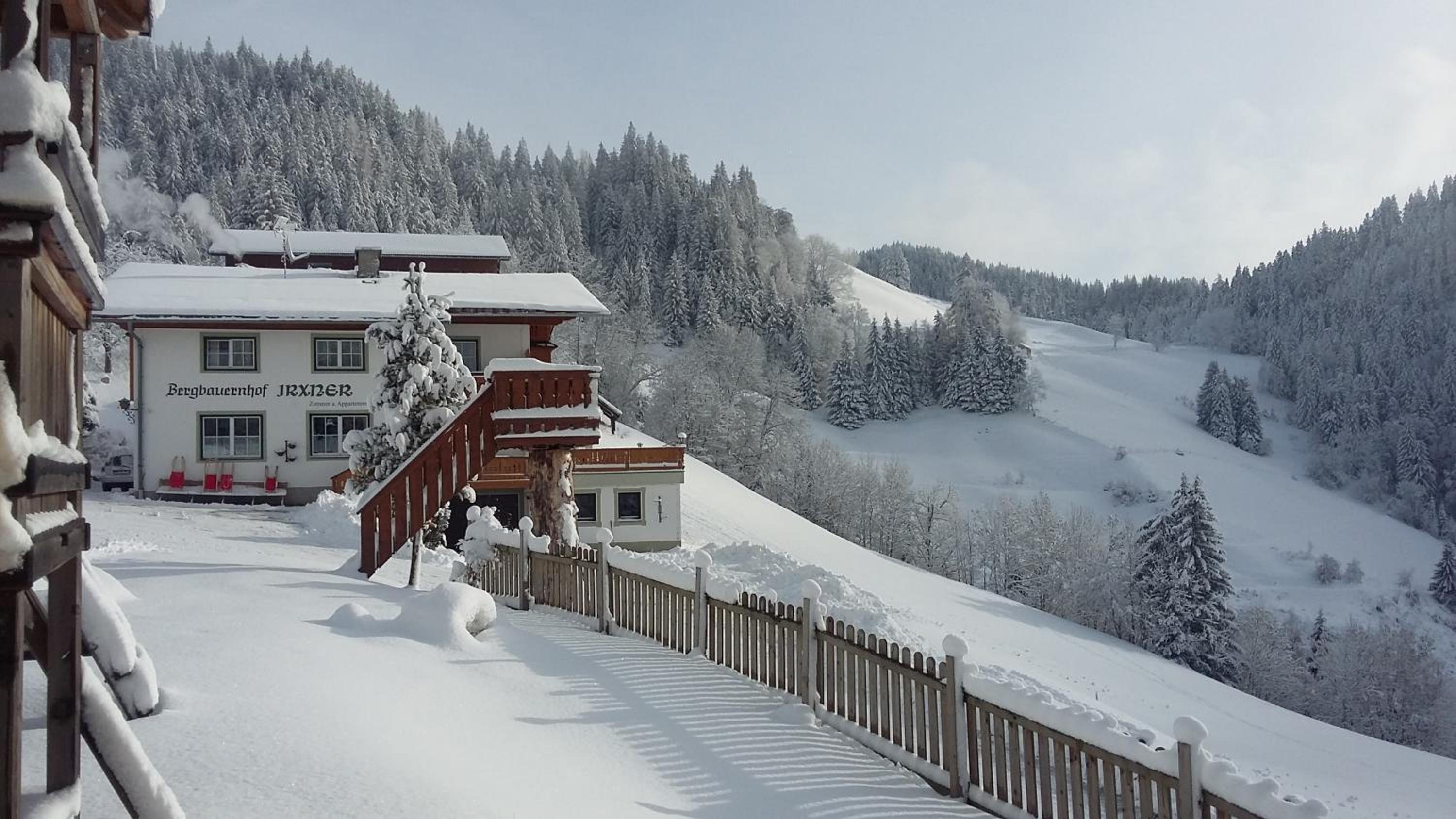 Pension Bergbauernhof Irxner