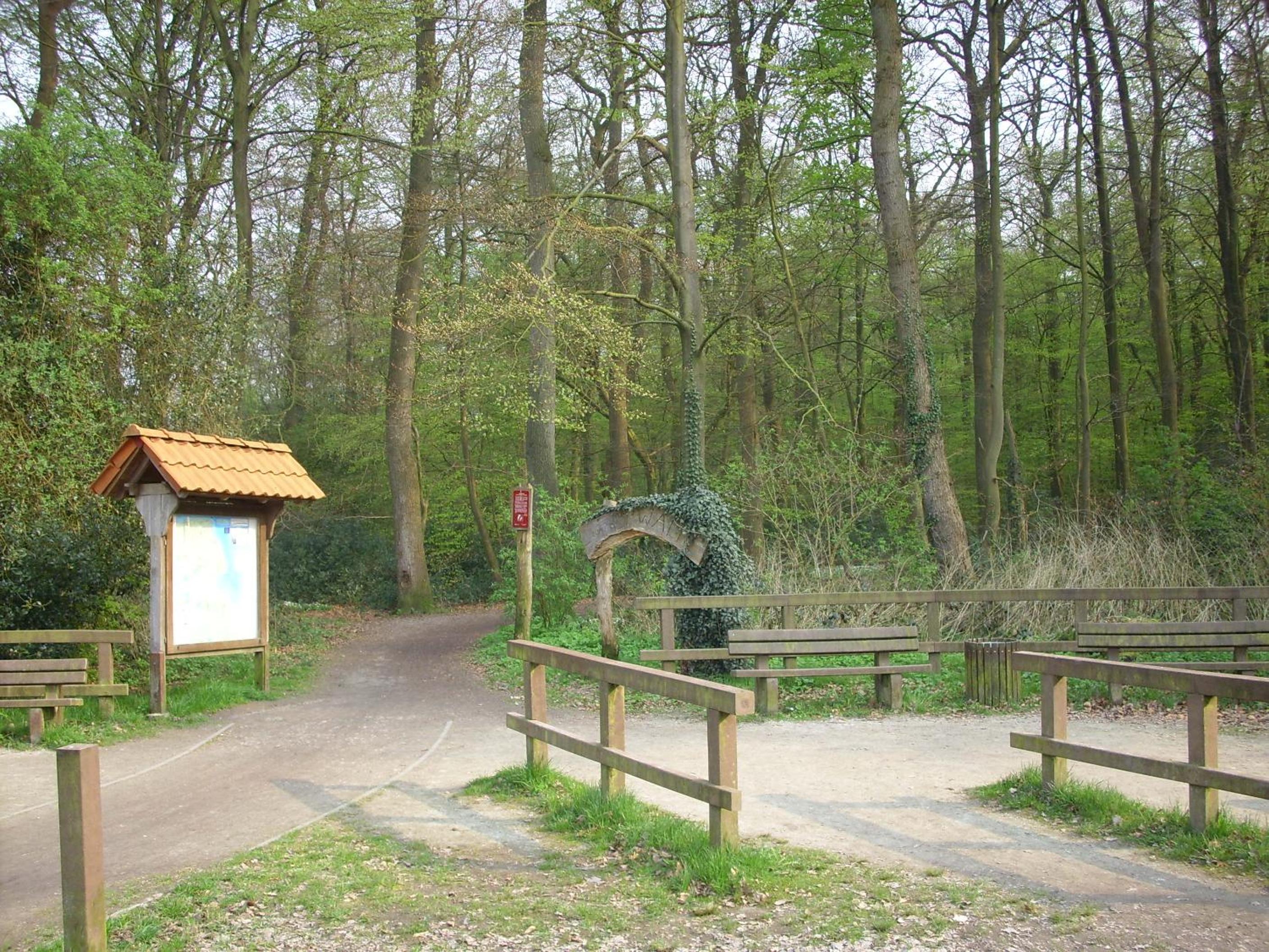 Photo 15