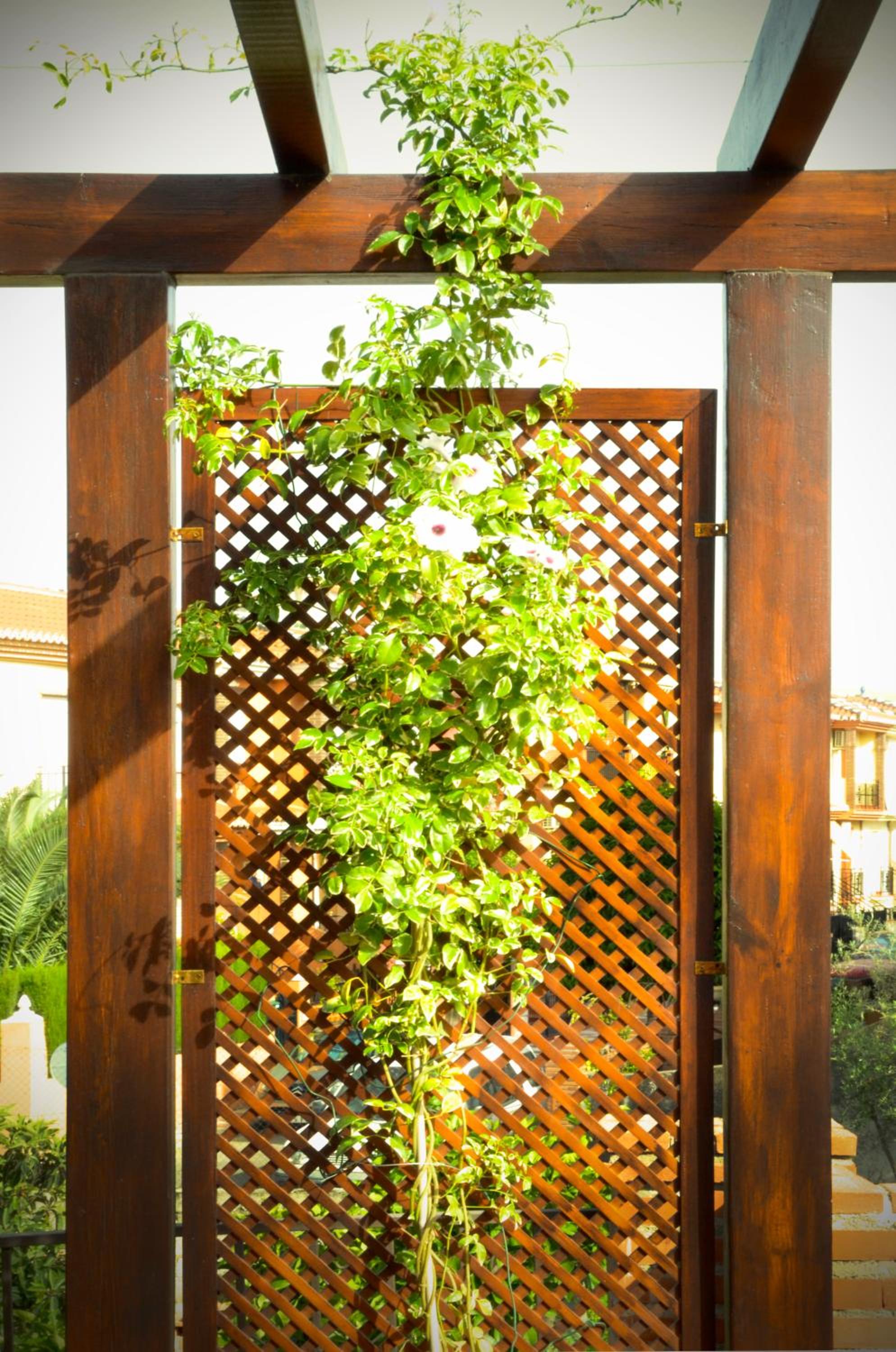 Apartamentos Turísticos Cúllar Vega