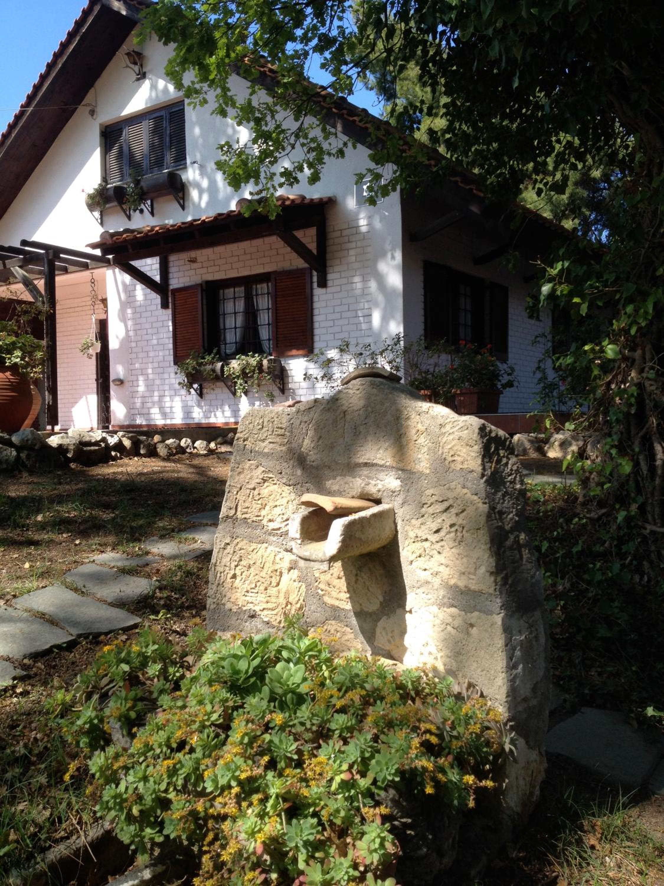 Photo 33
