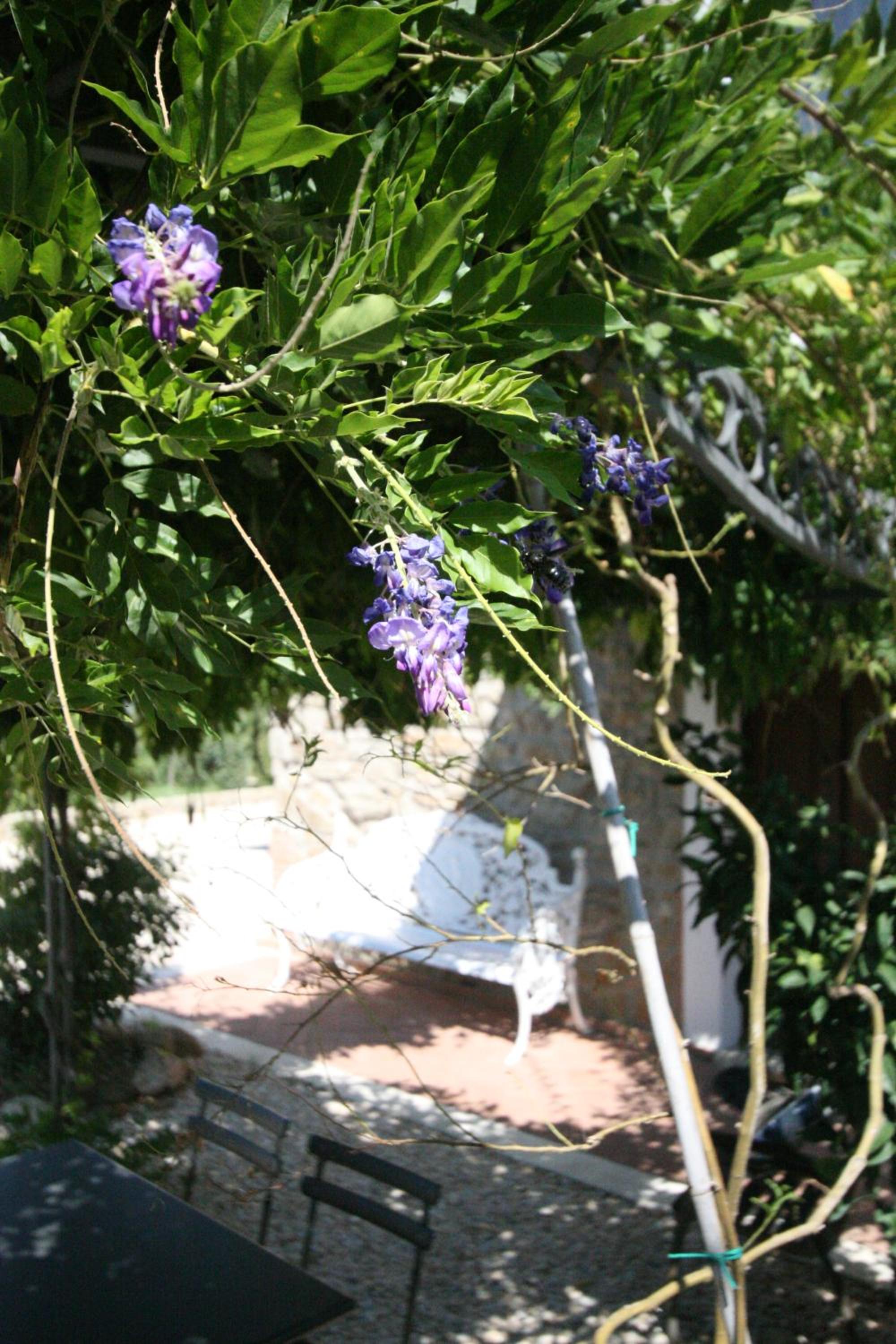Photo 36
