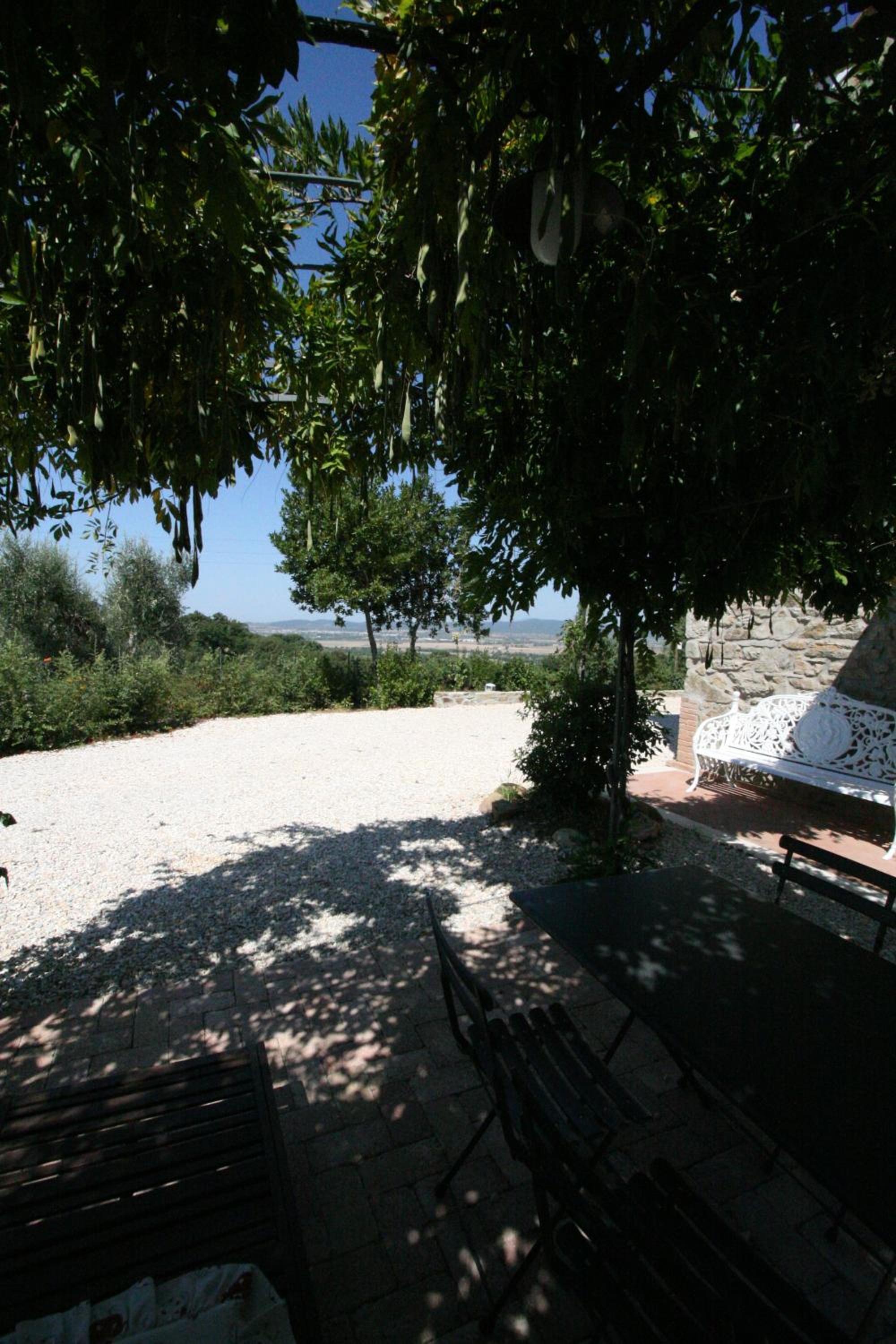 Photo 26
