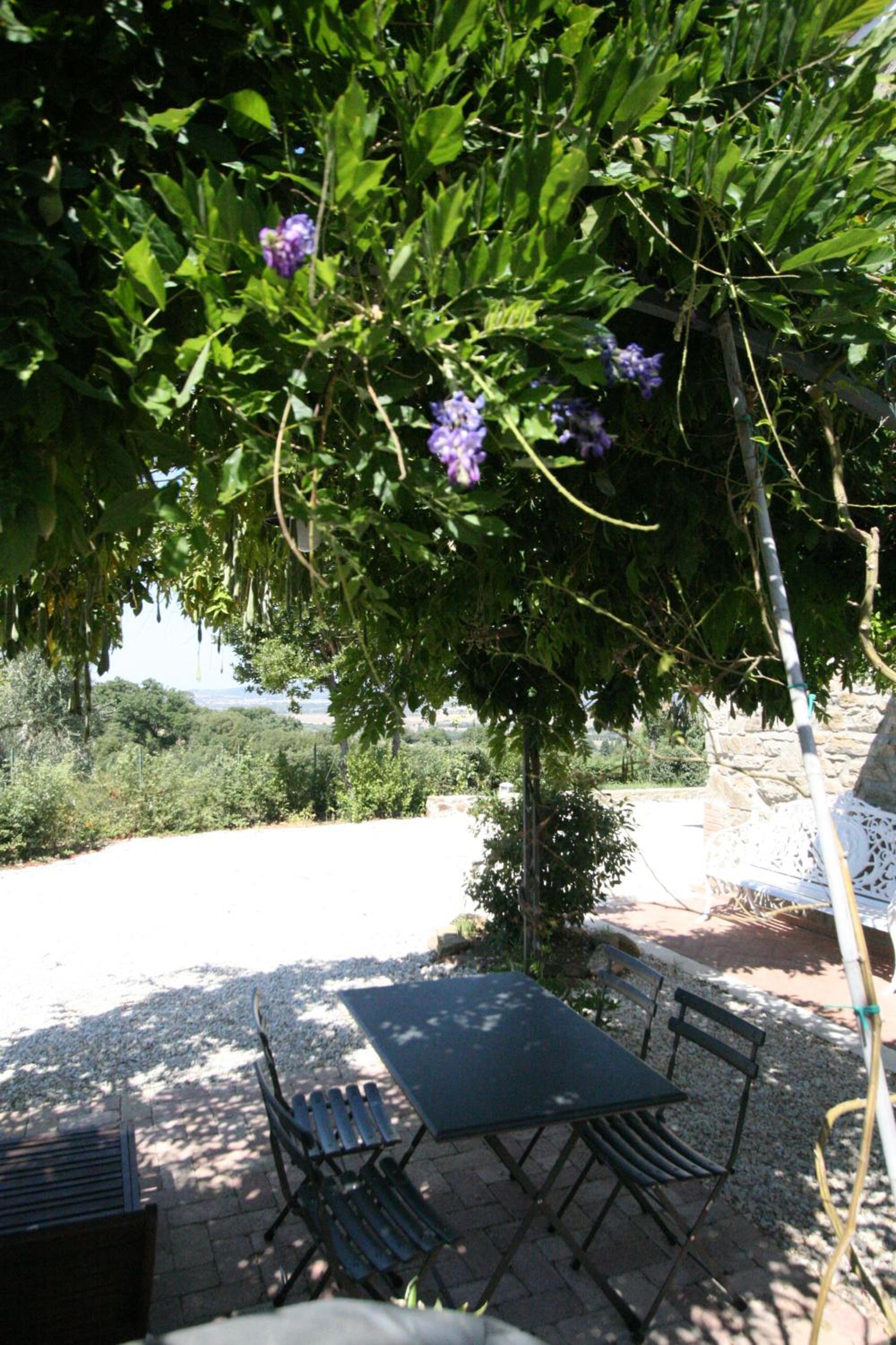 Photo 38