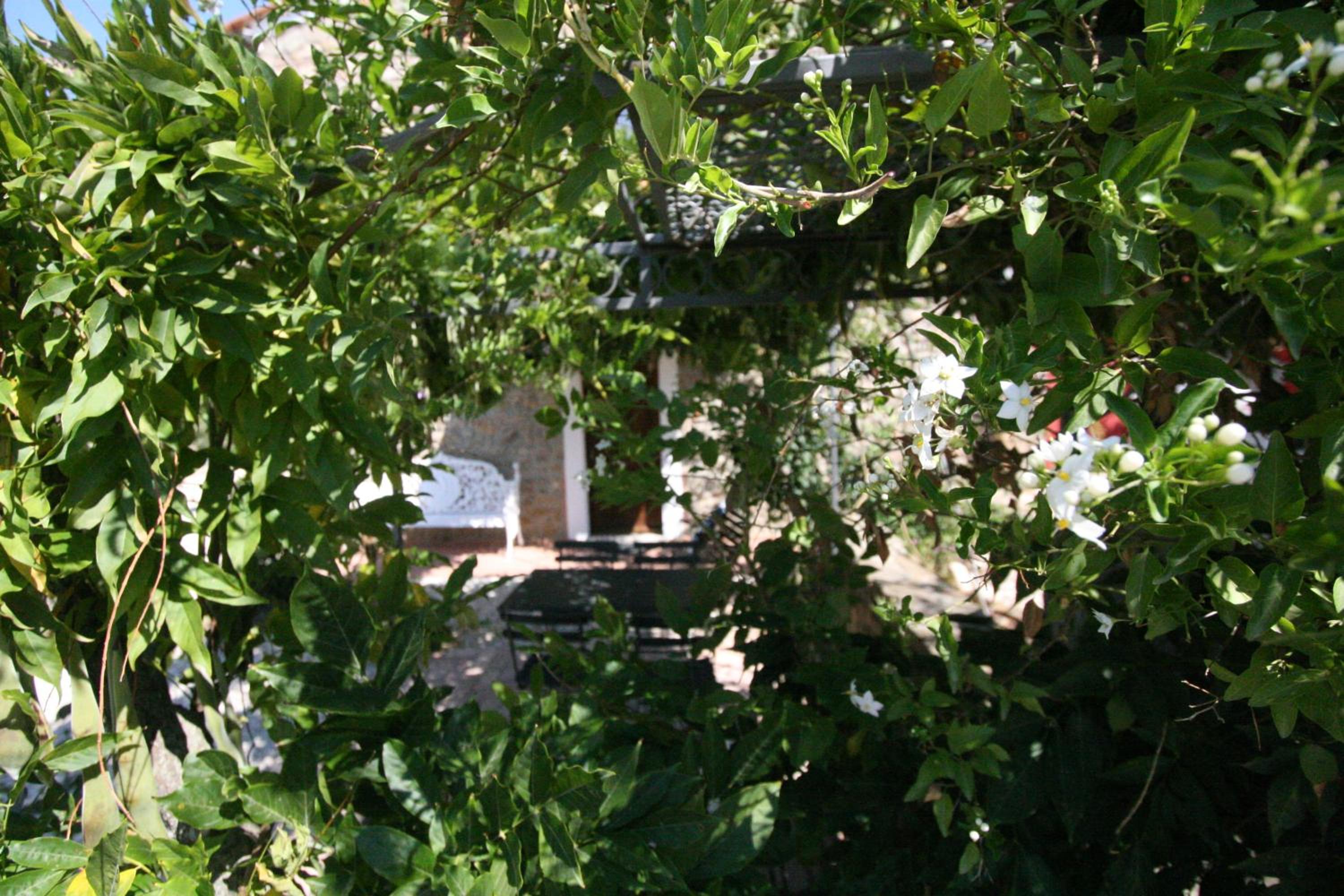 Photo 39