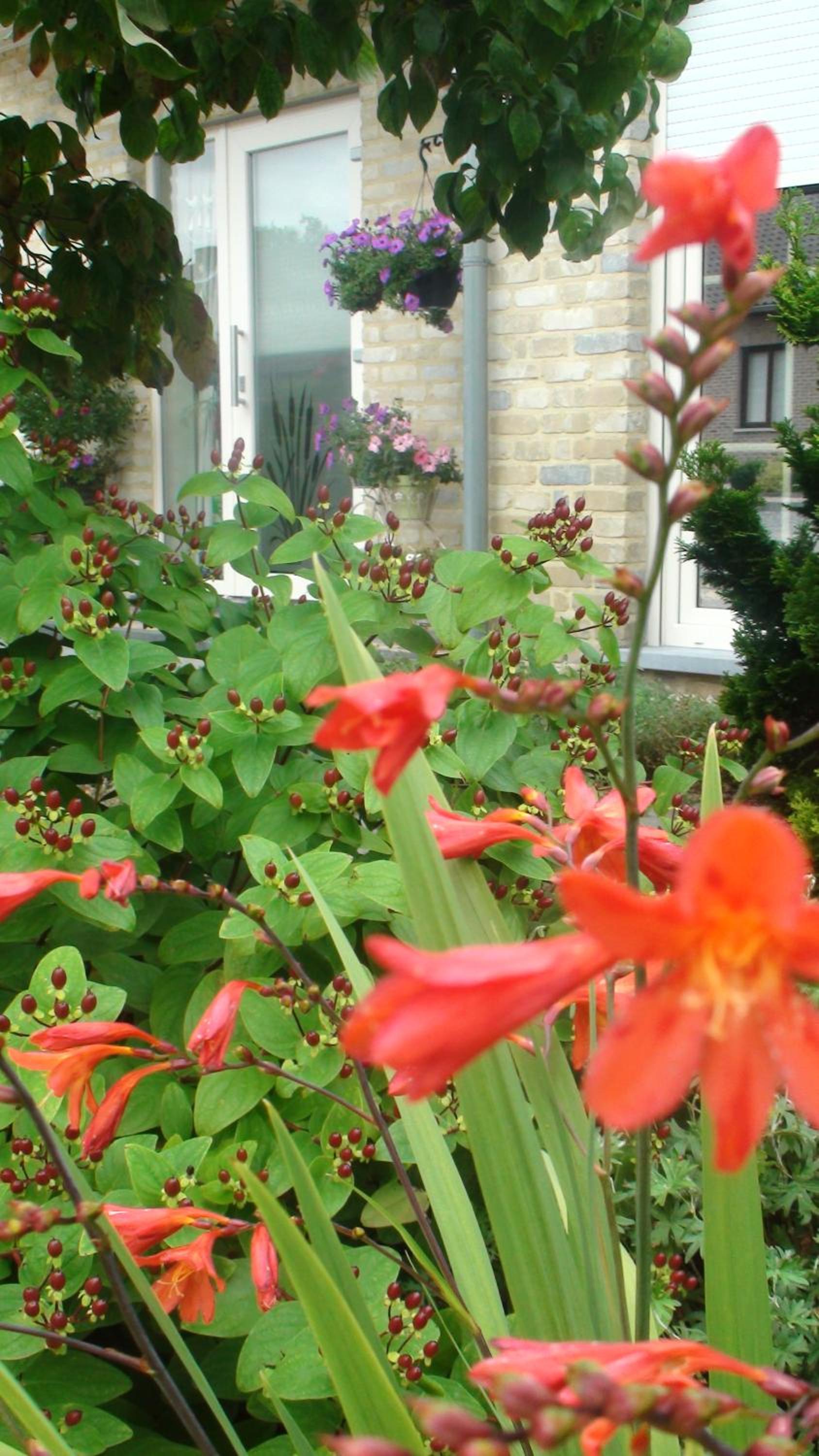 B&B De Watering