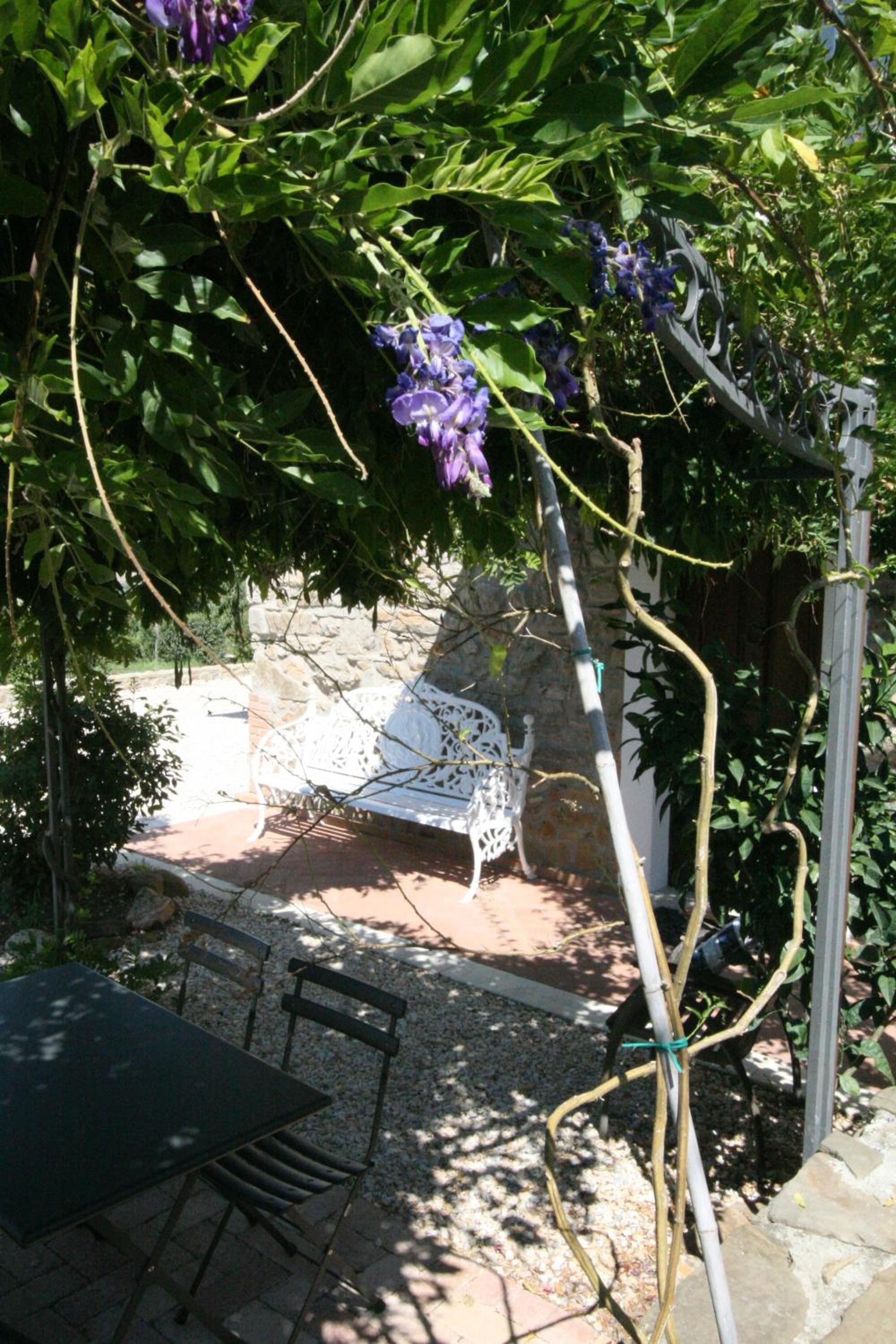 Photo 32