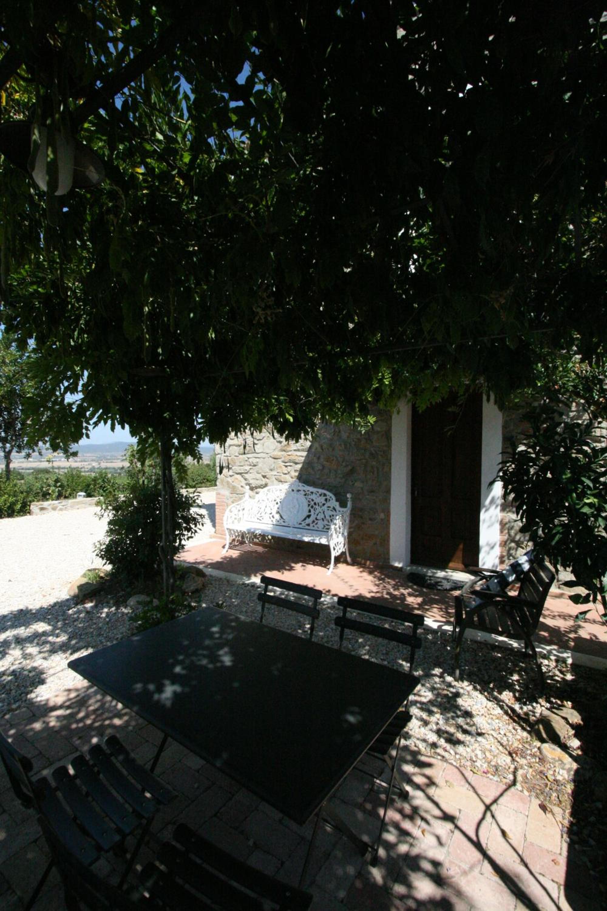 Photo 24