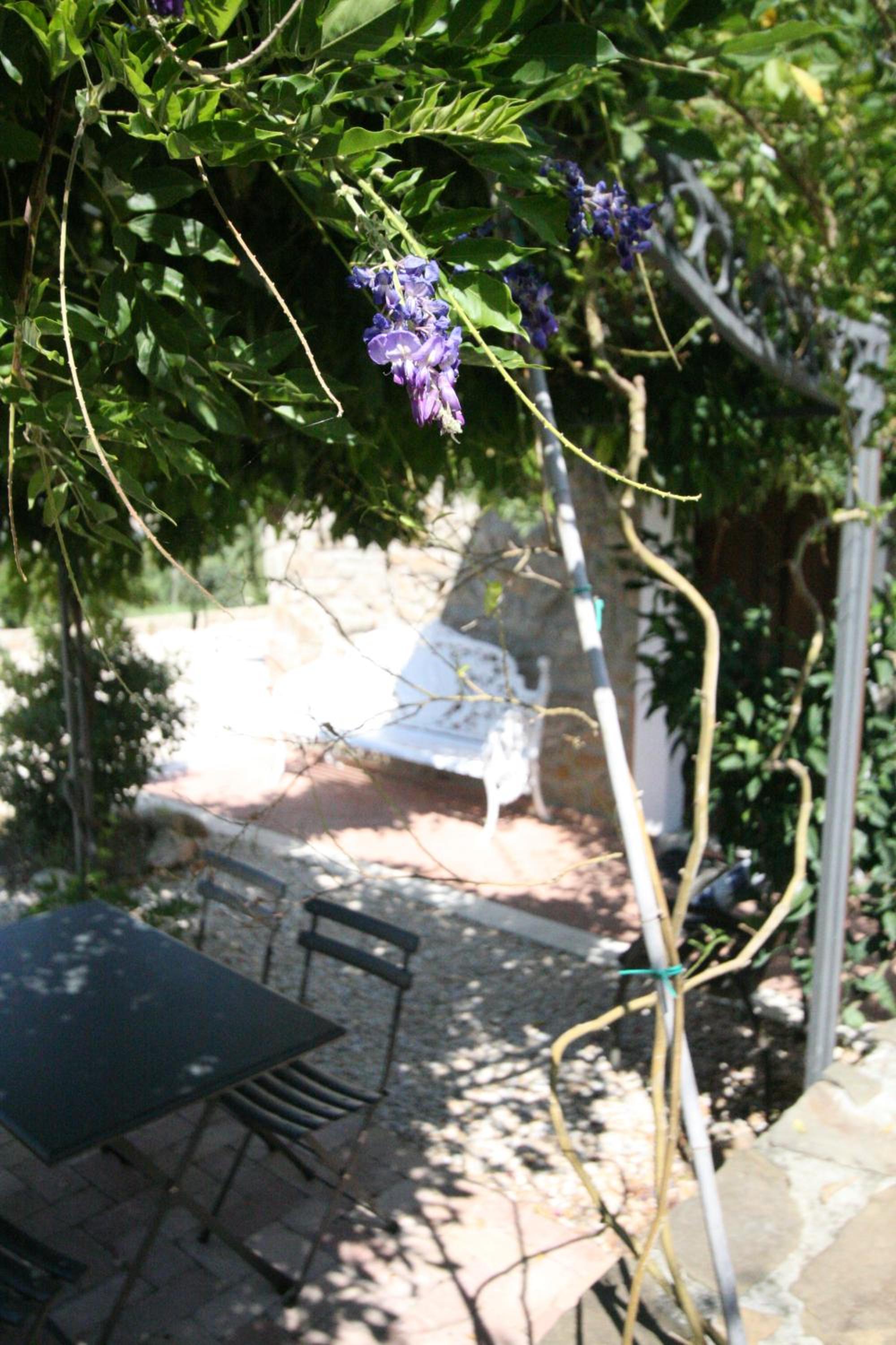 Photo 25