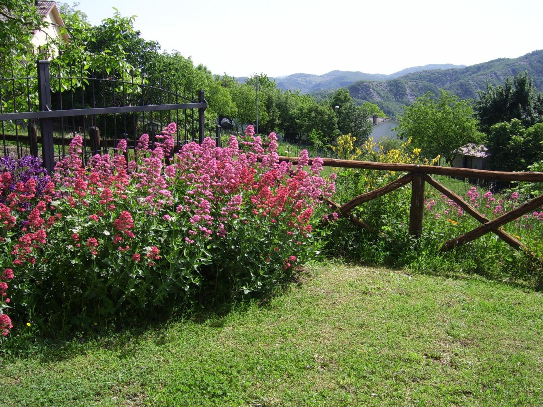 Photo 46