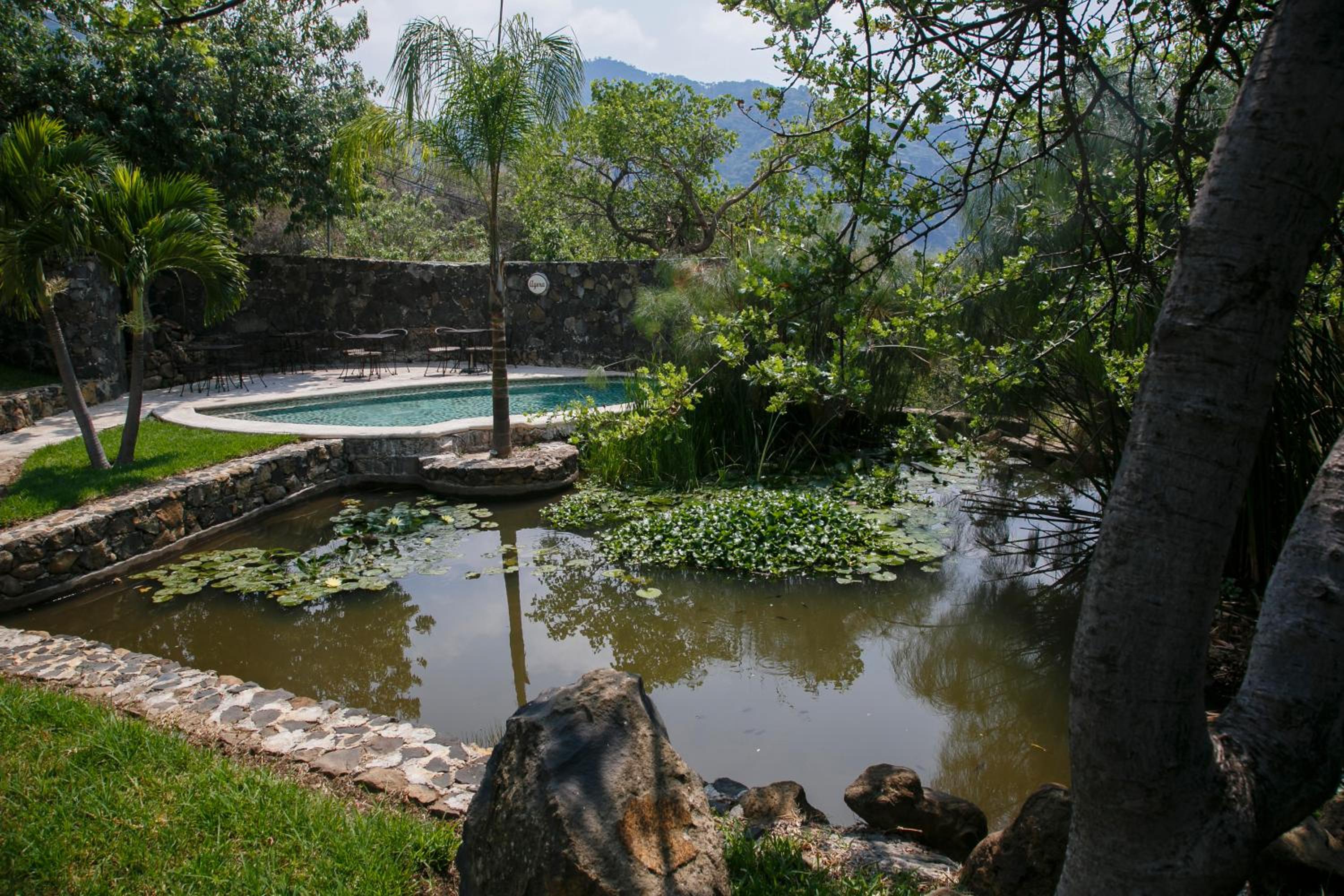 Hostal de la Luz - Spa Holistic Resort