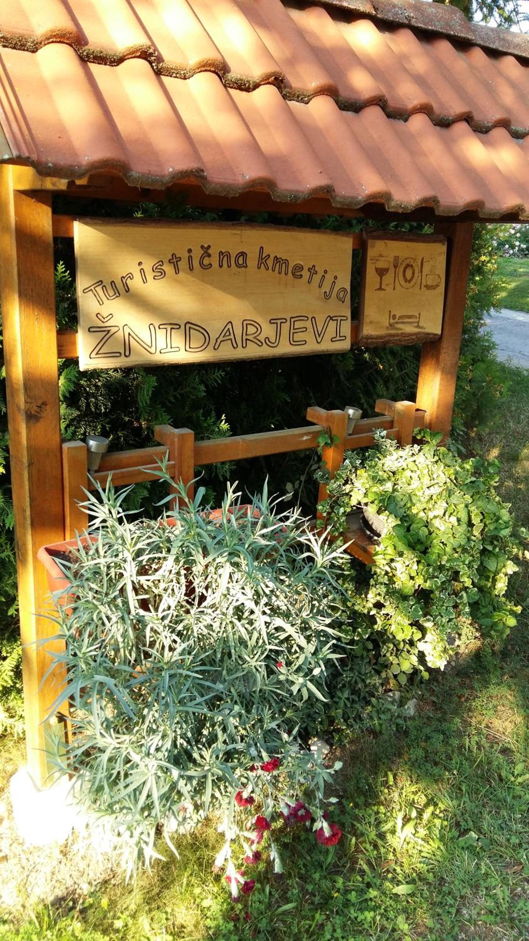 Tourist Farm Znidarjevi view 4