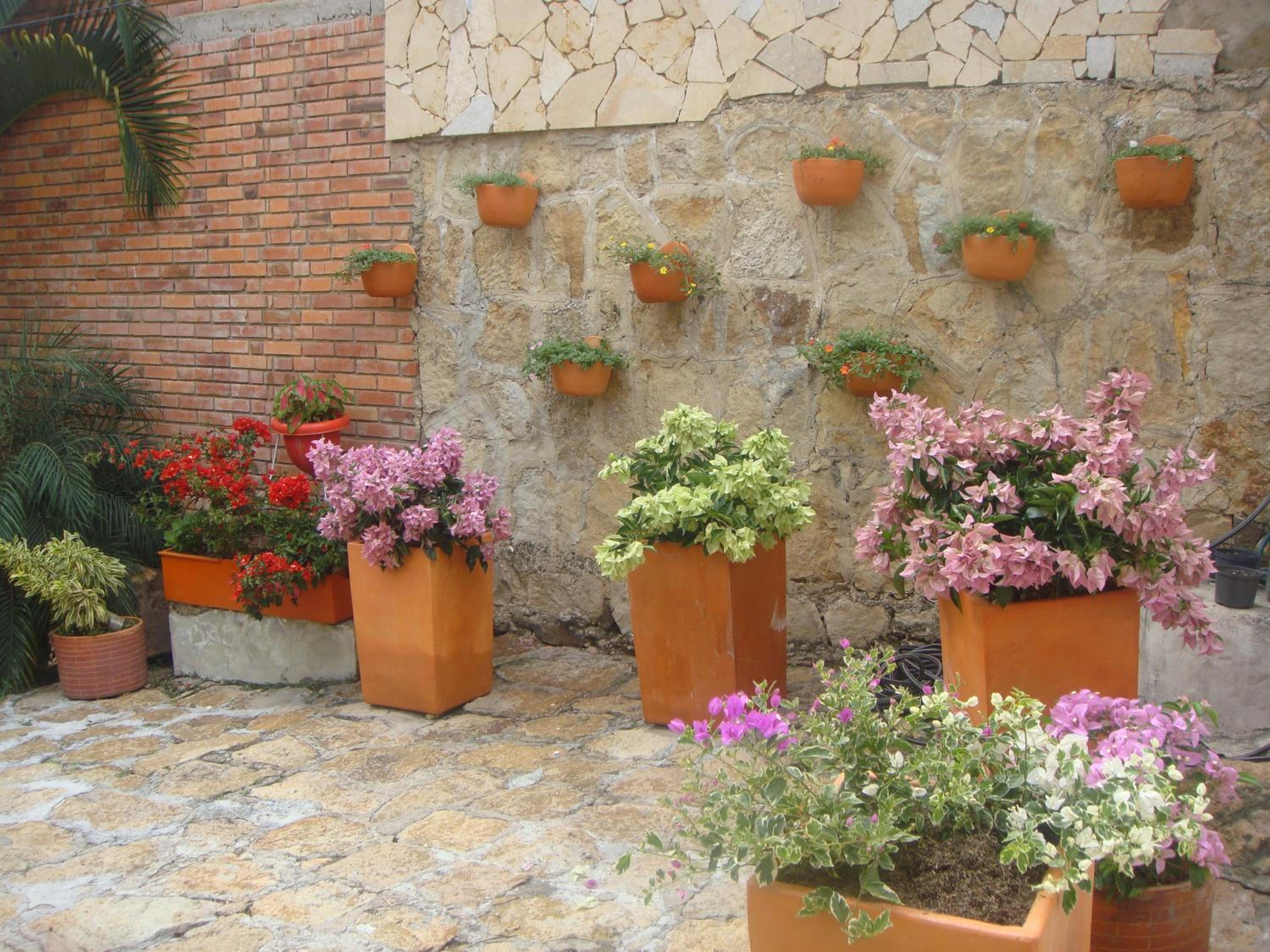 garden