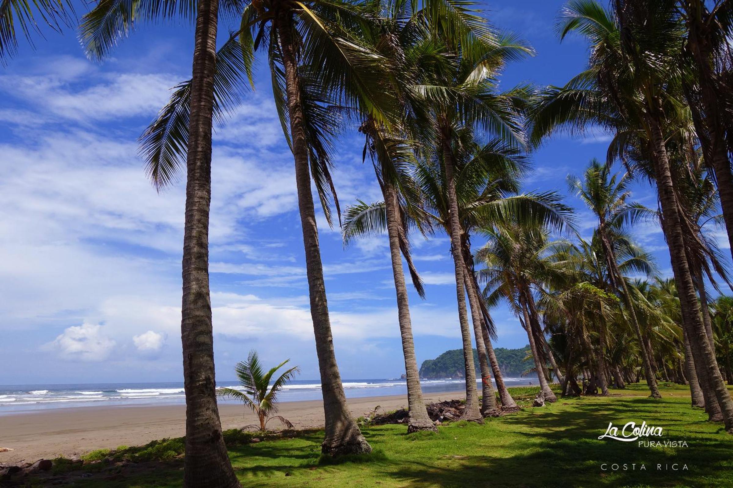 La Colina Pura Vista