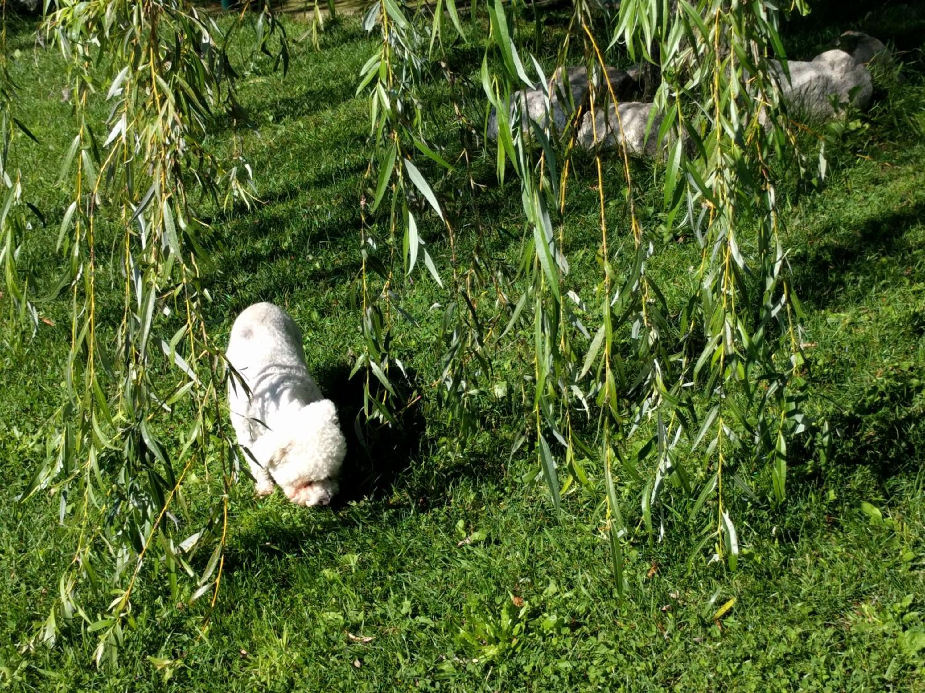 Photo 9