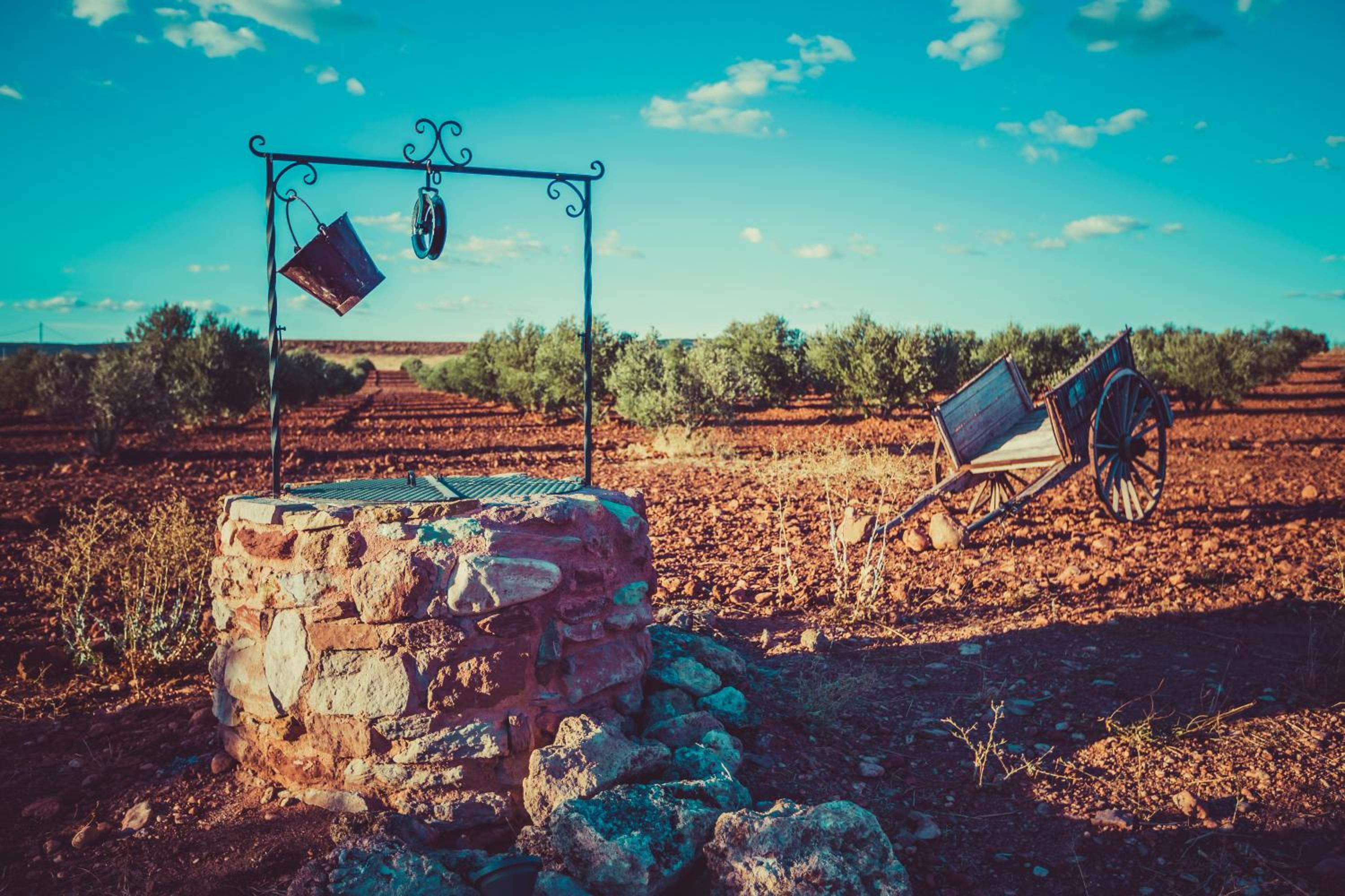 Finca  SPA Vereda Real - Property Image 12