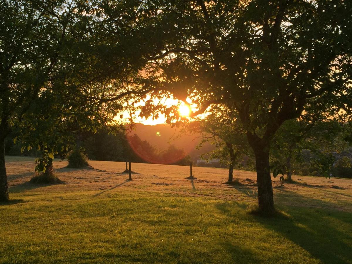Domaine de Lascaux