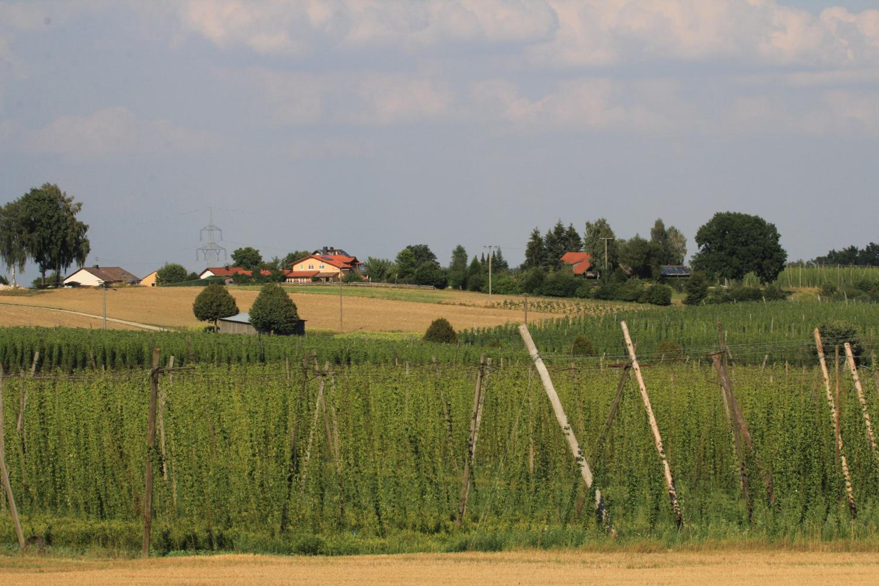 Photo 48