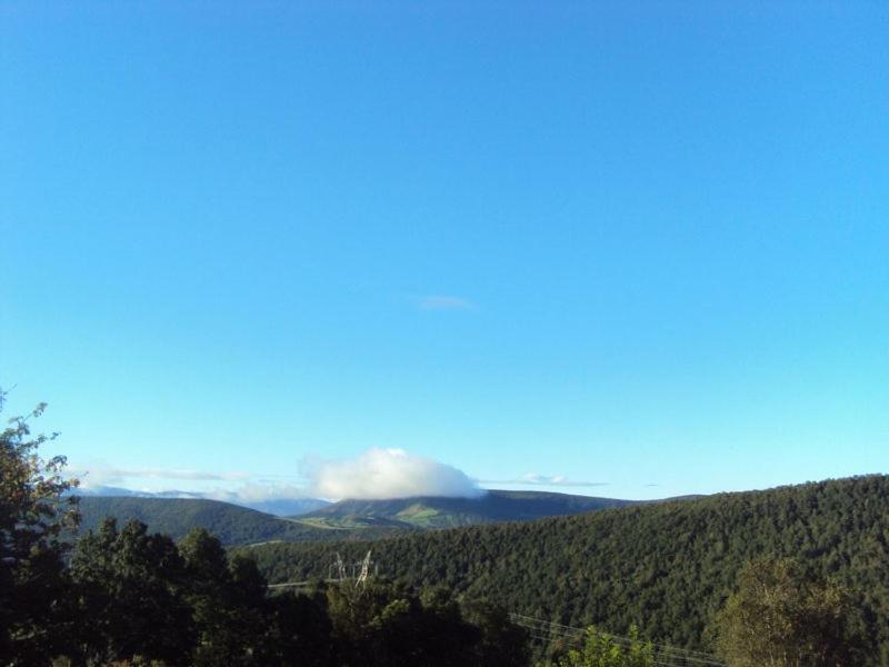 Photo 46