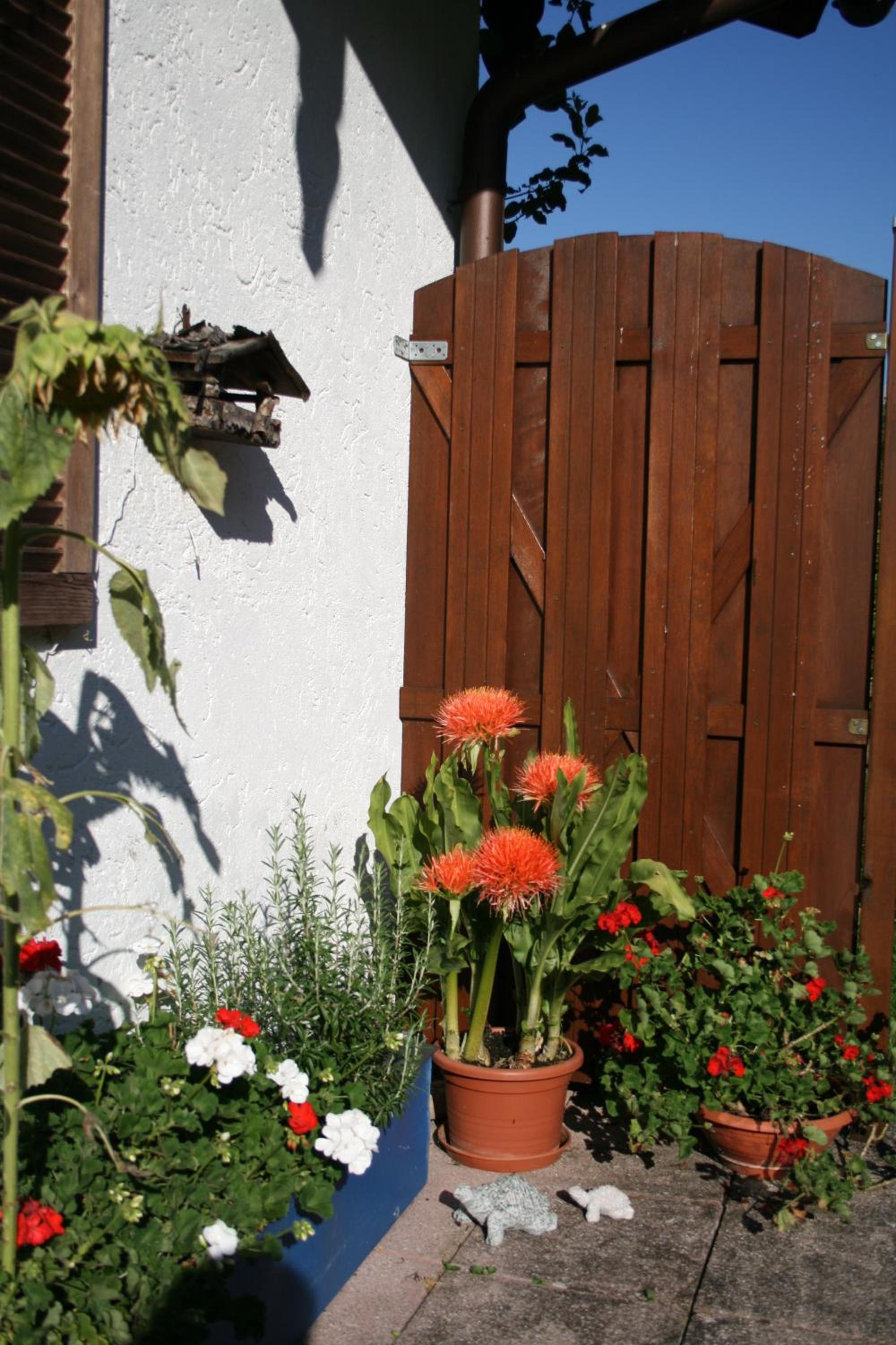 Haus Angerbichl