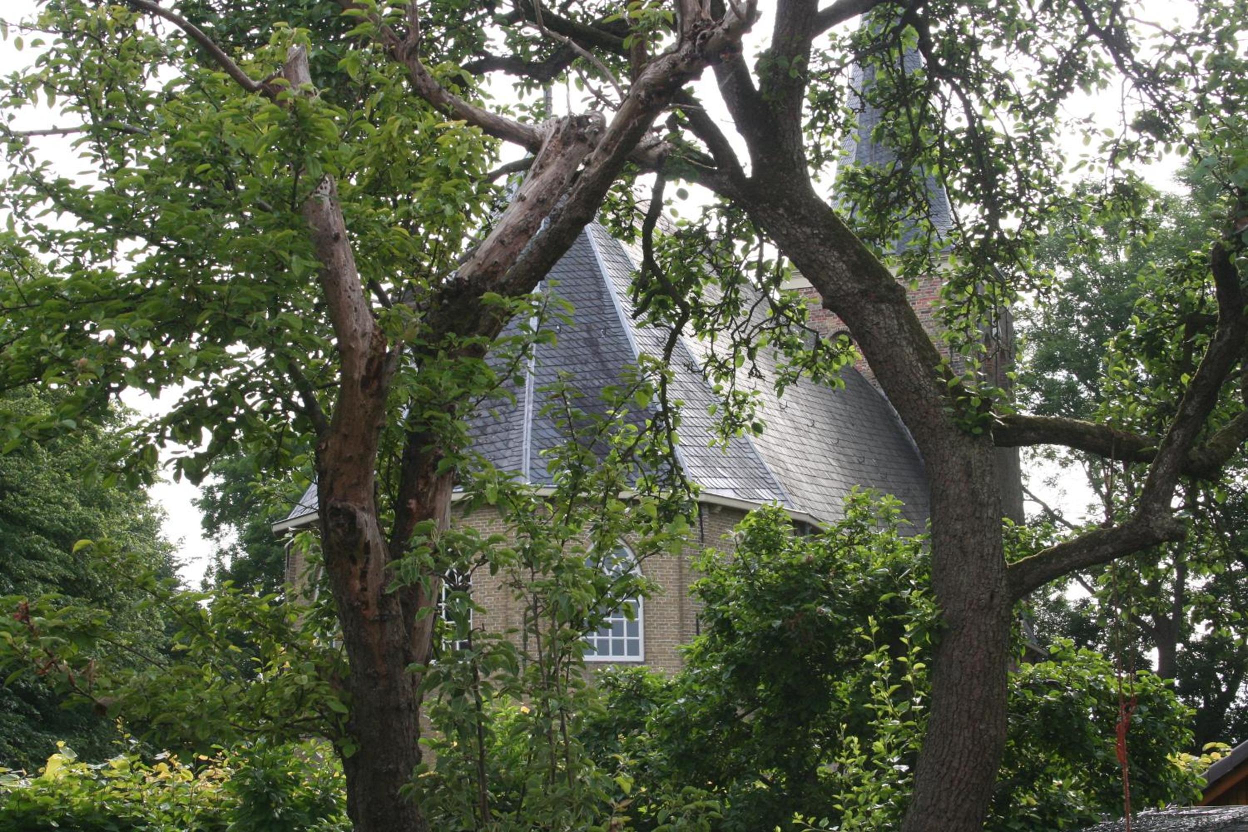 Photo 22