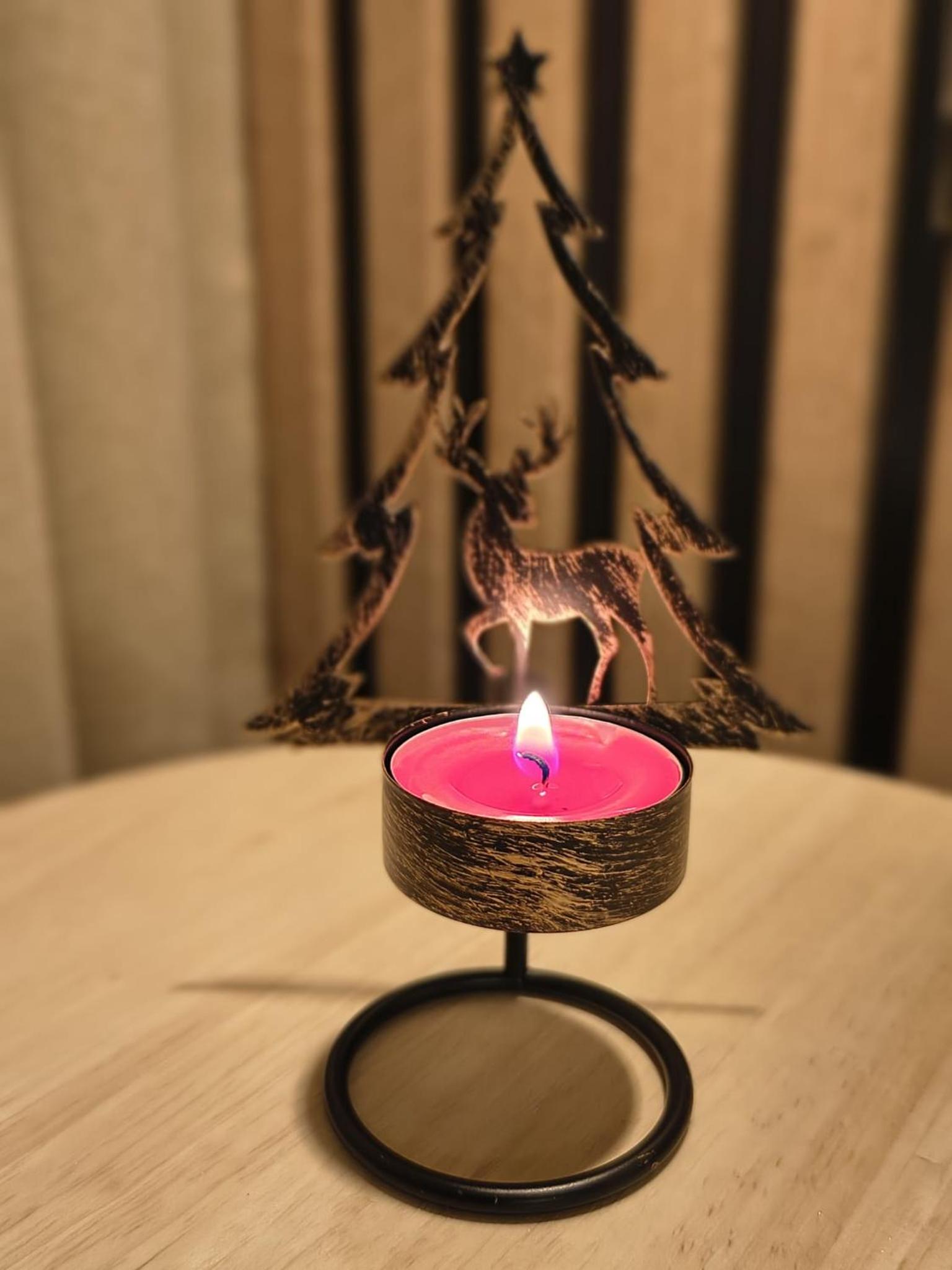 Apartament Krynica Central