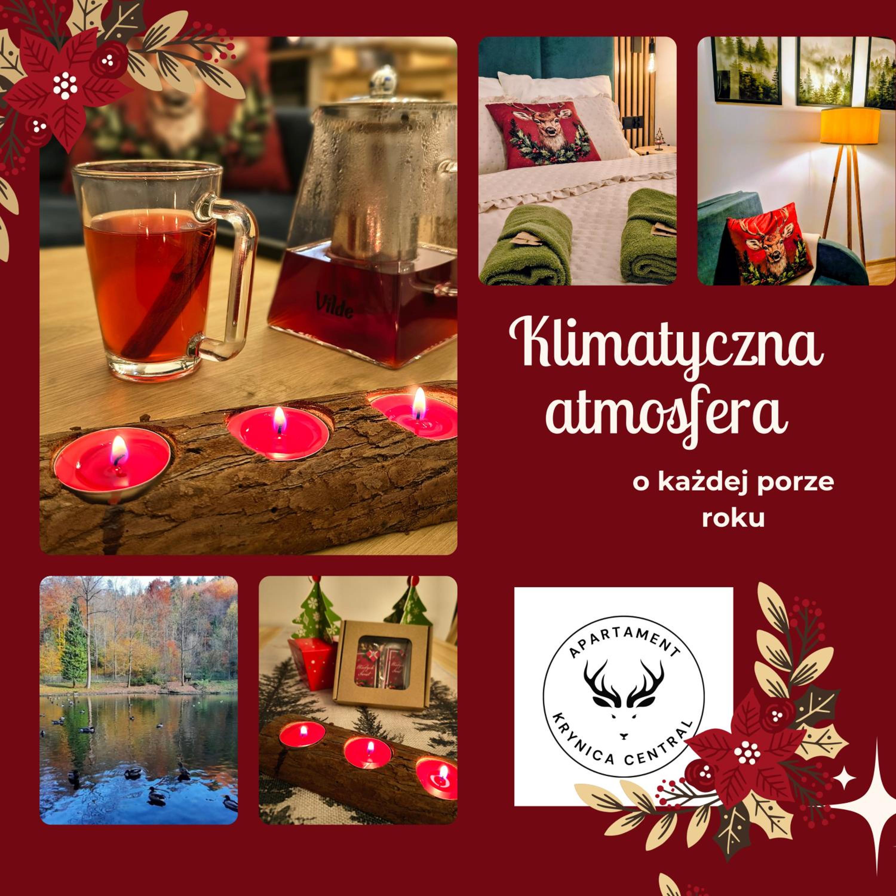 Apartament Krynica Central