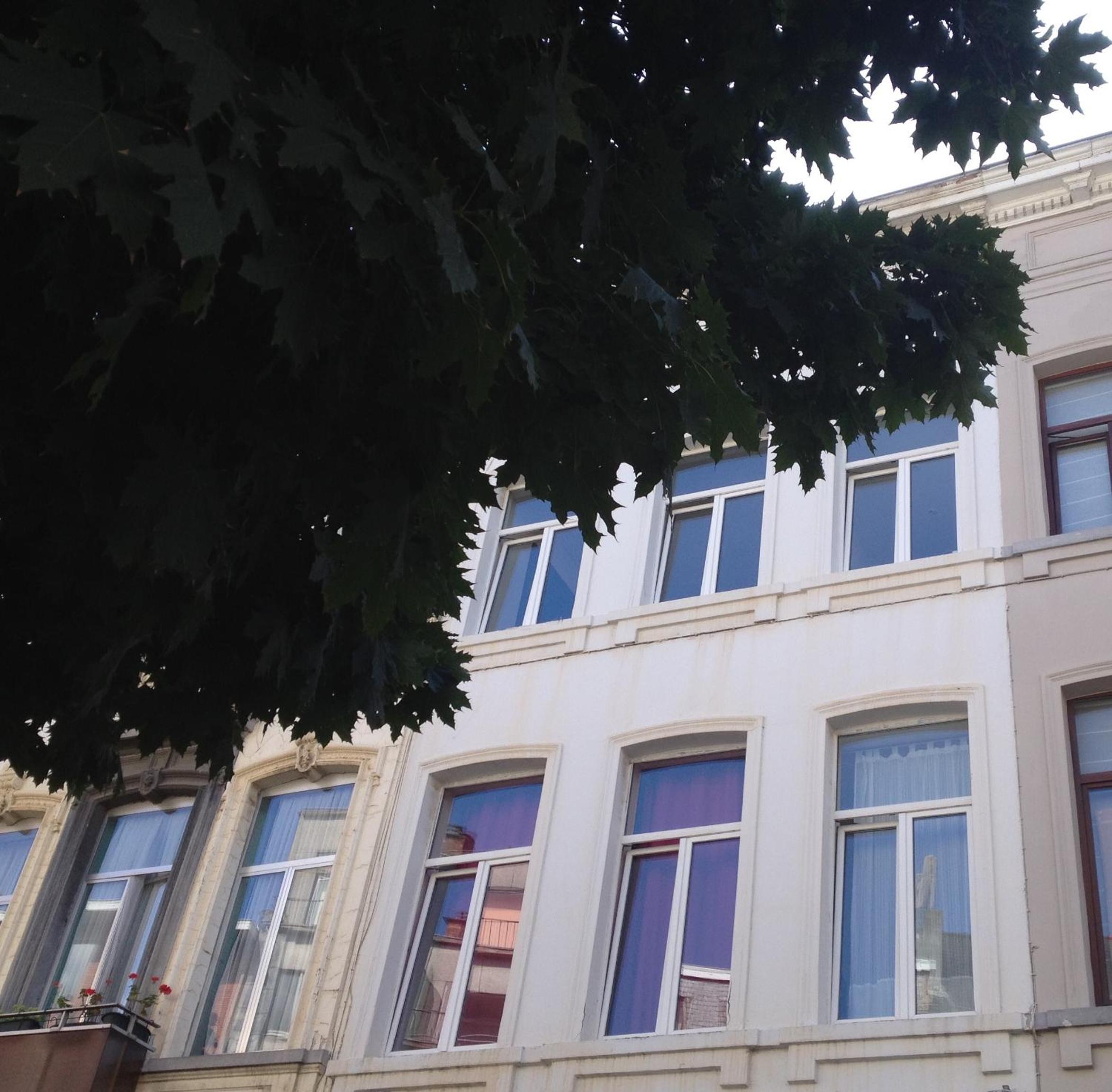 Villa 36 B&B