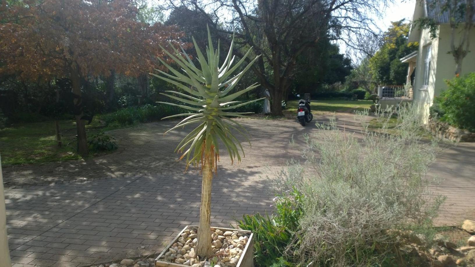Photo 43