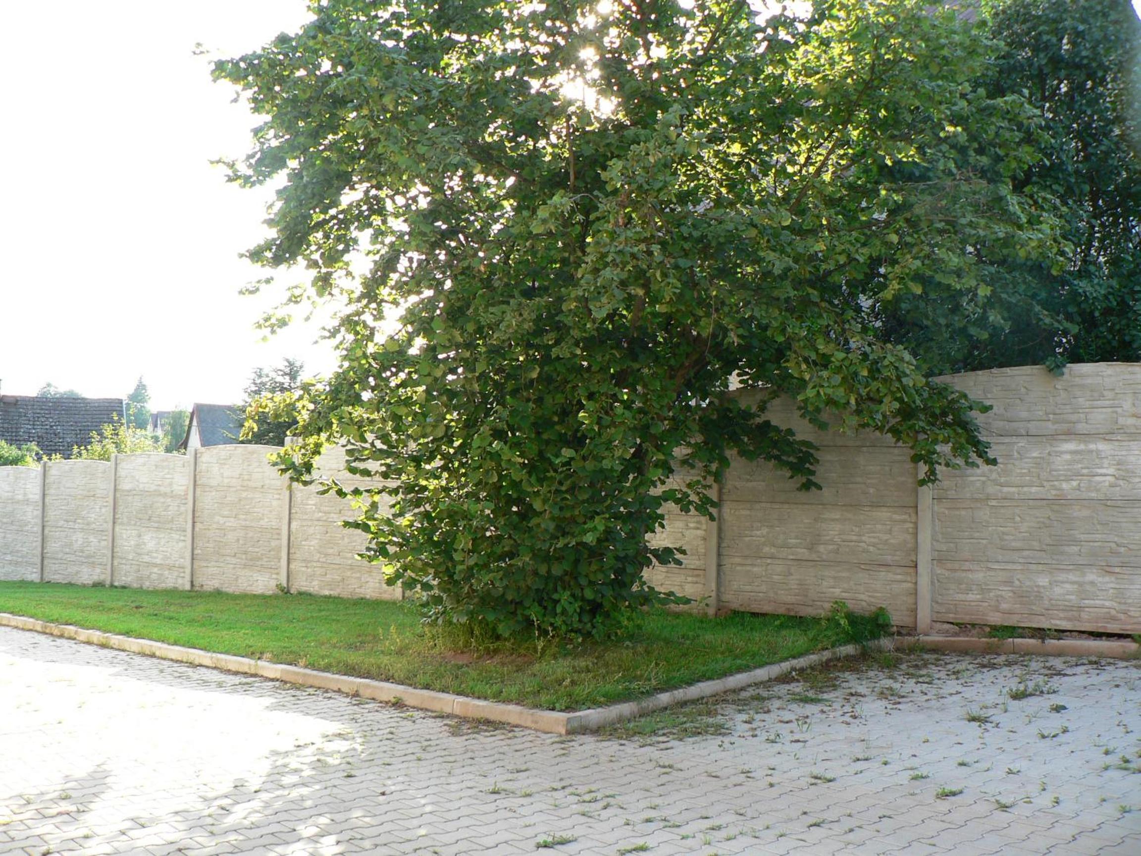 Photo 52