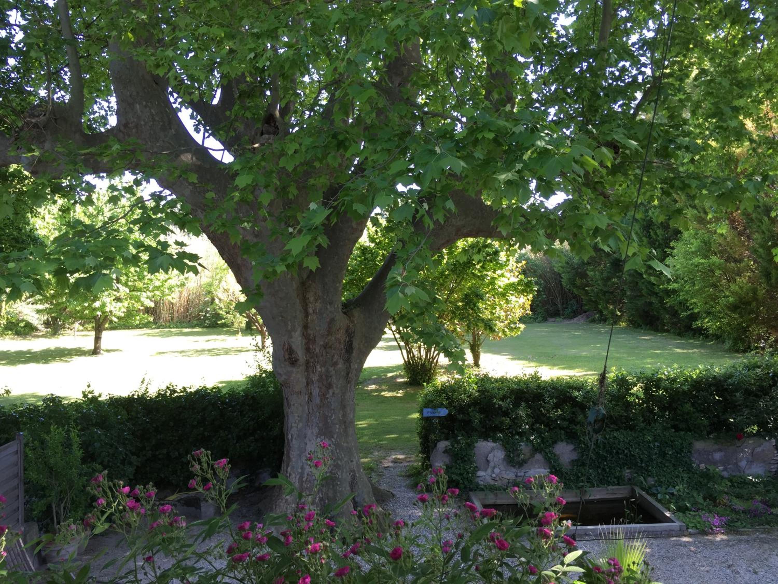Photo 32