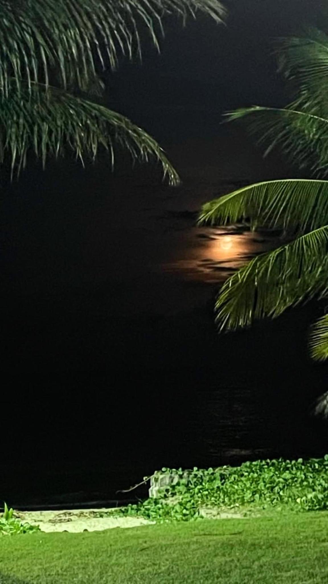 Refúgio à Beira Mar em Tamandaré Pernambucano - Pé na Areia