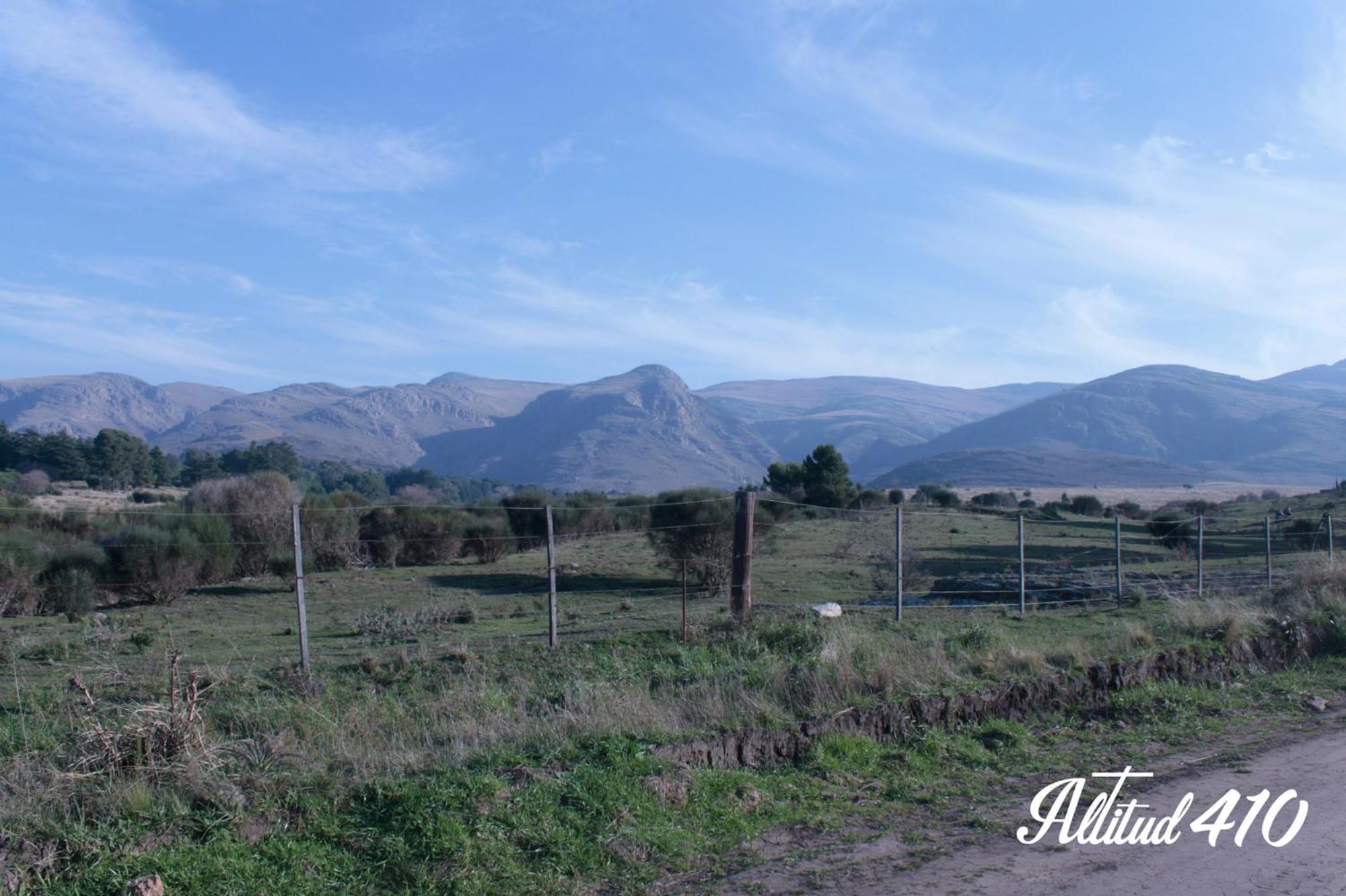 Altitud 410