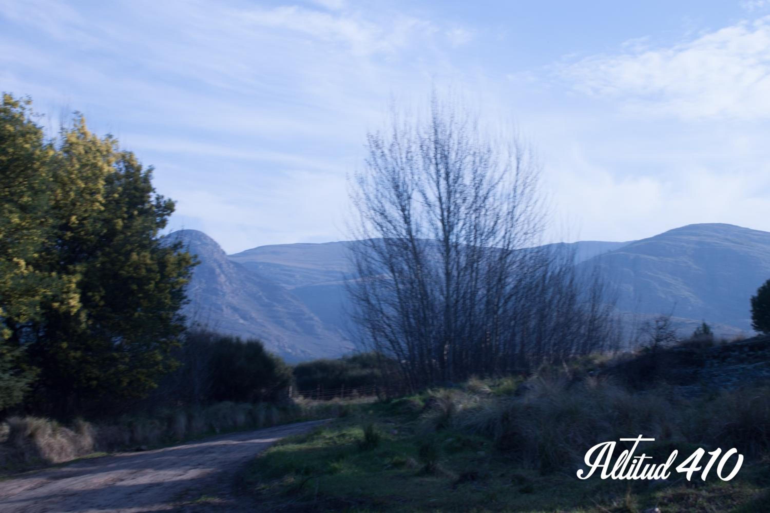 Altitud 410