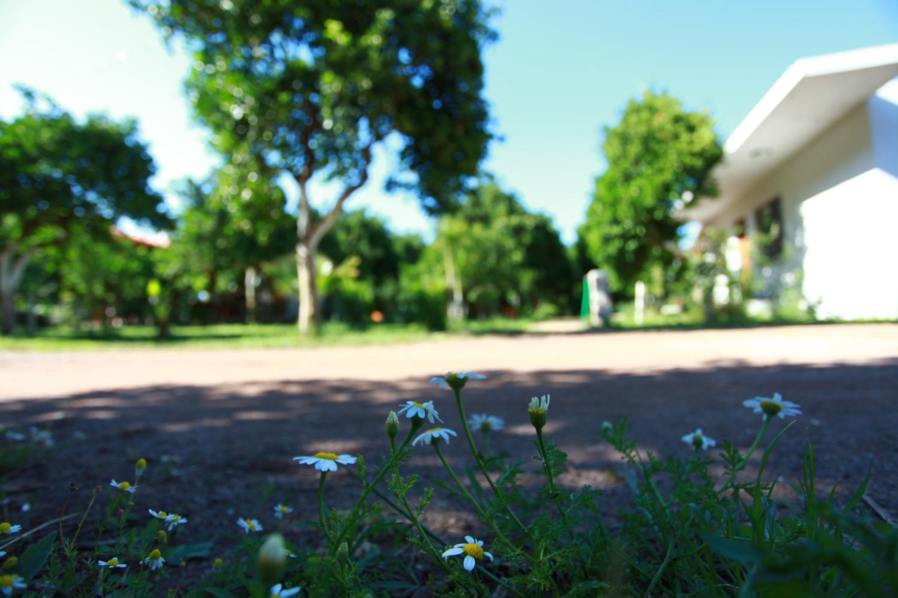 Photo 44