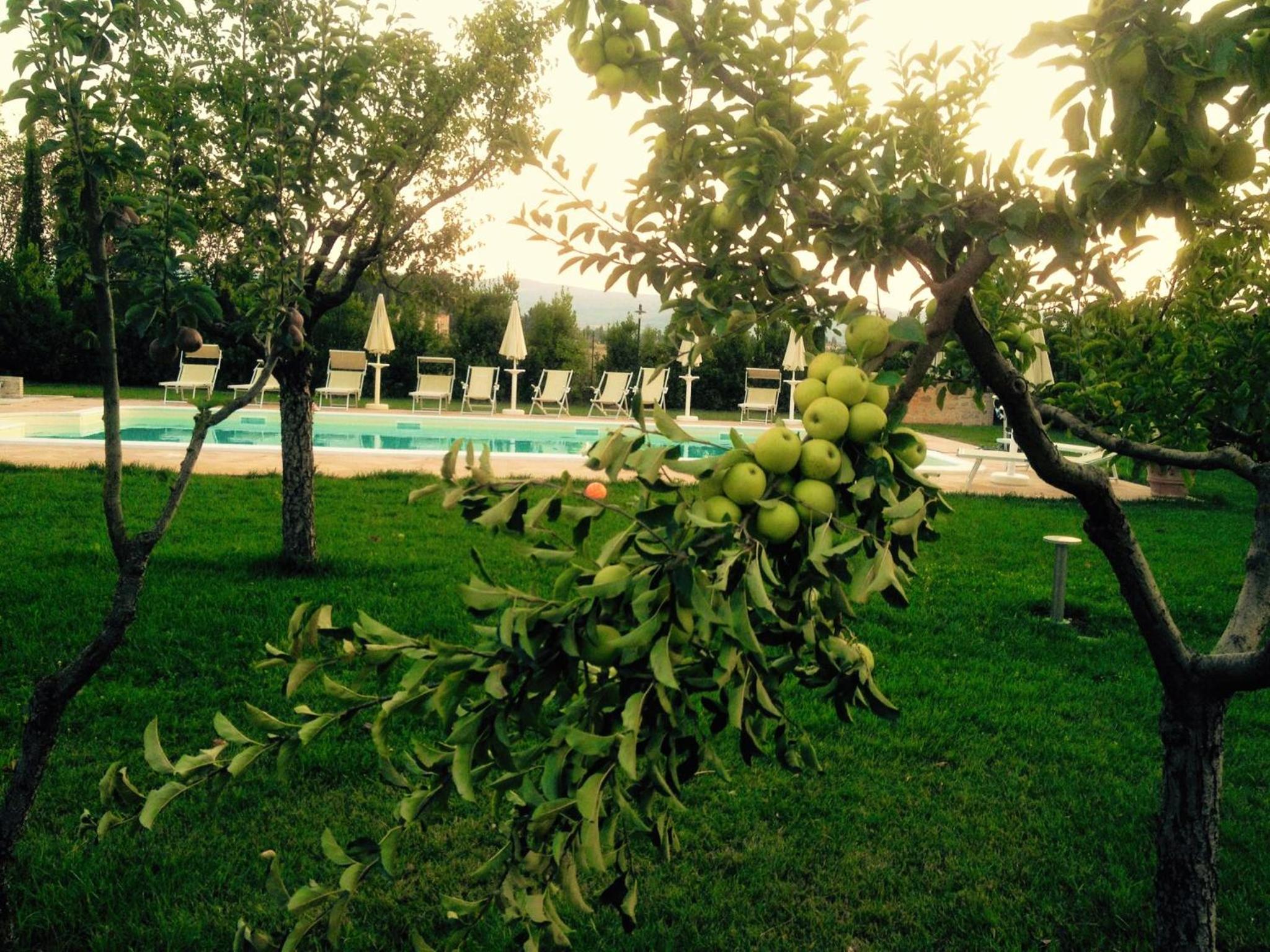 Agriturismo Il Barco