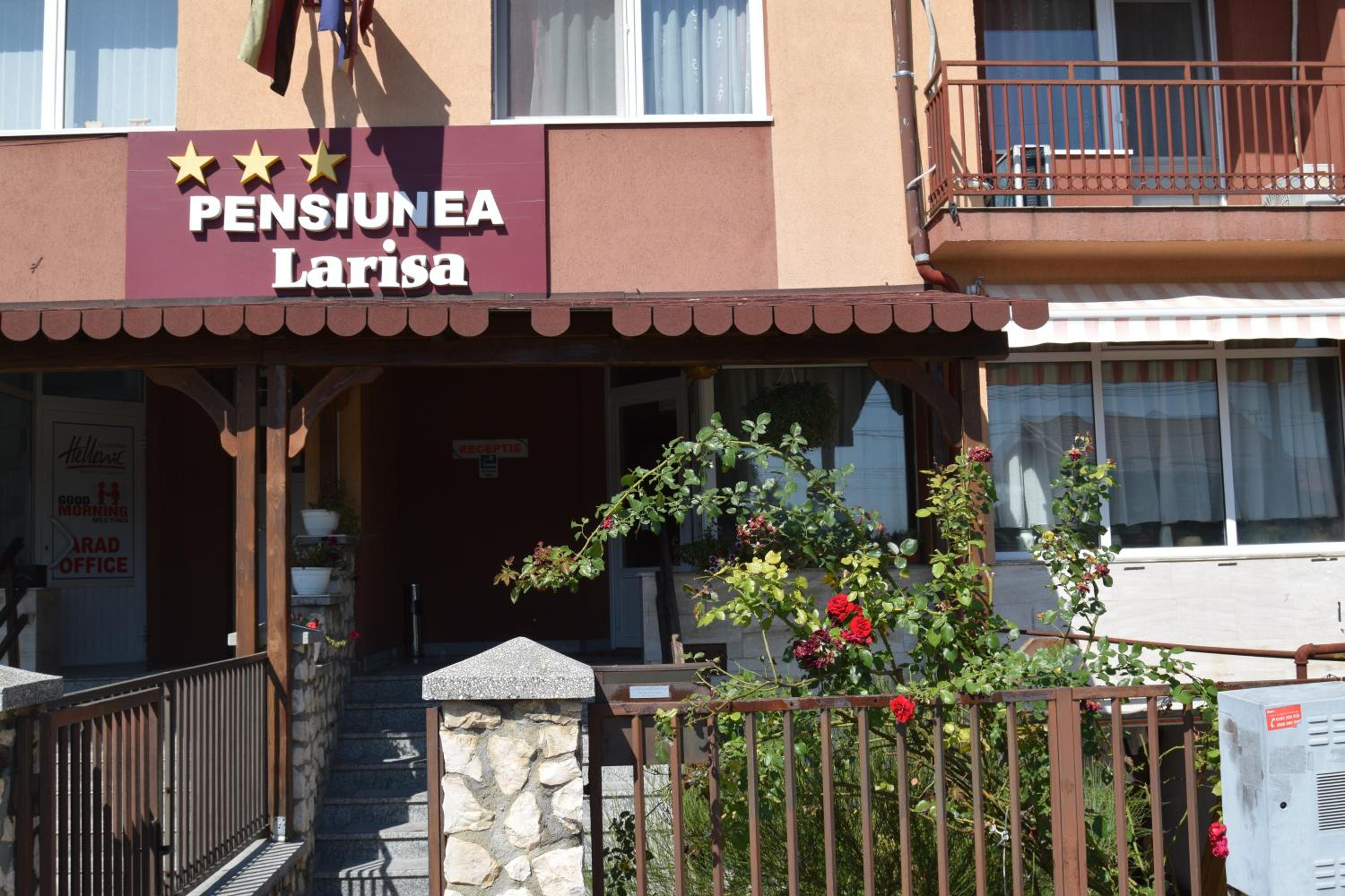 Pensiunea Larisa