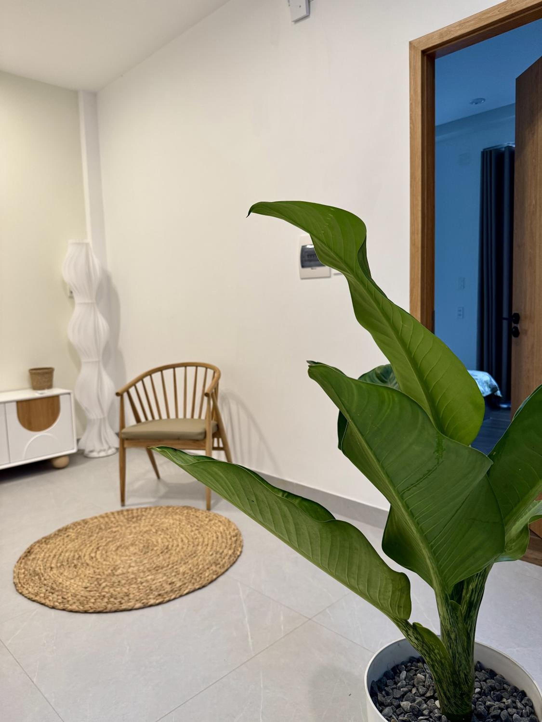 Dreamy homestay Huế