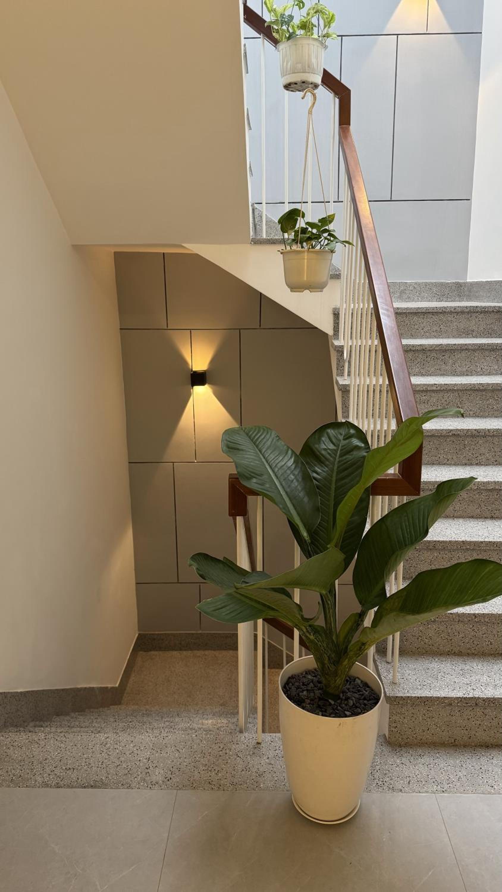 Dreamy homestay Huế