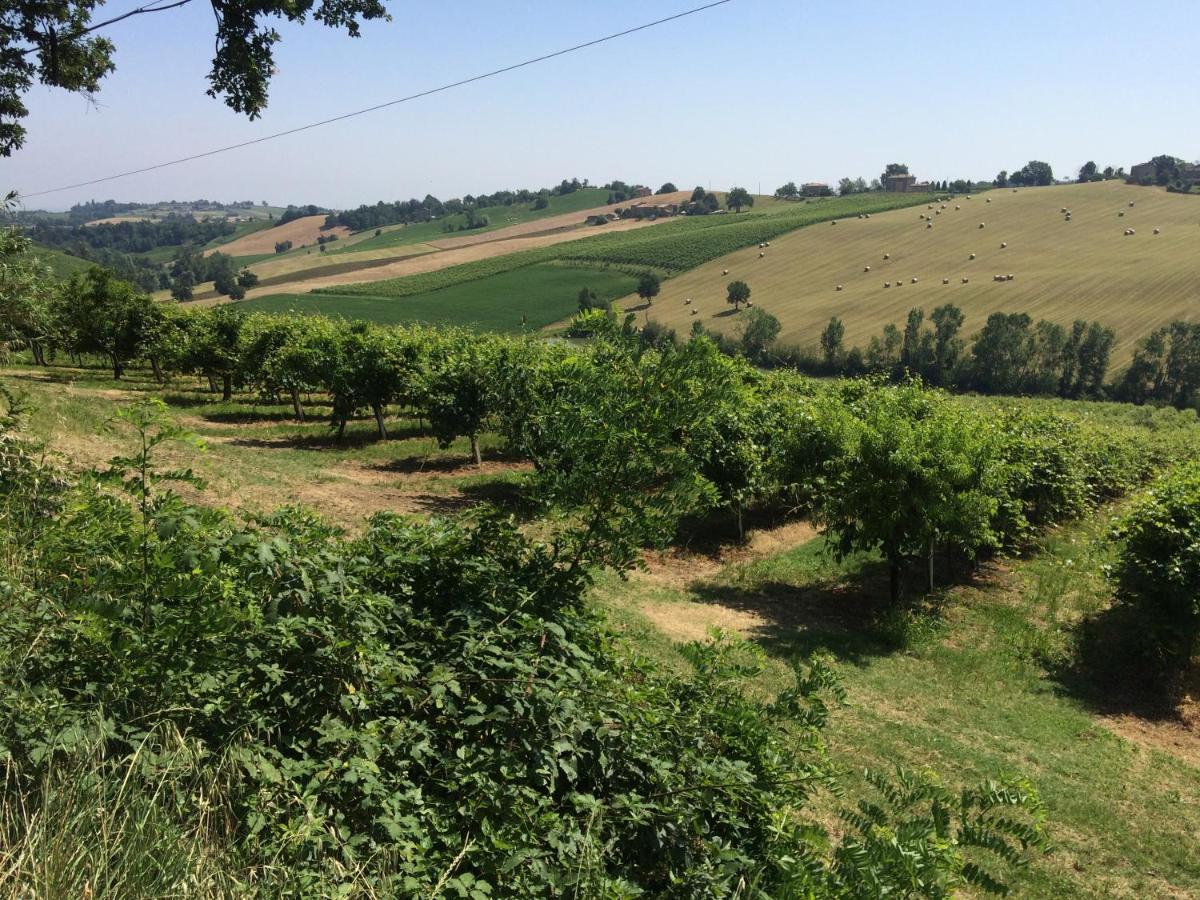 Il Giardino B&B
