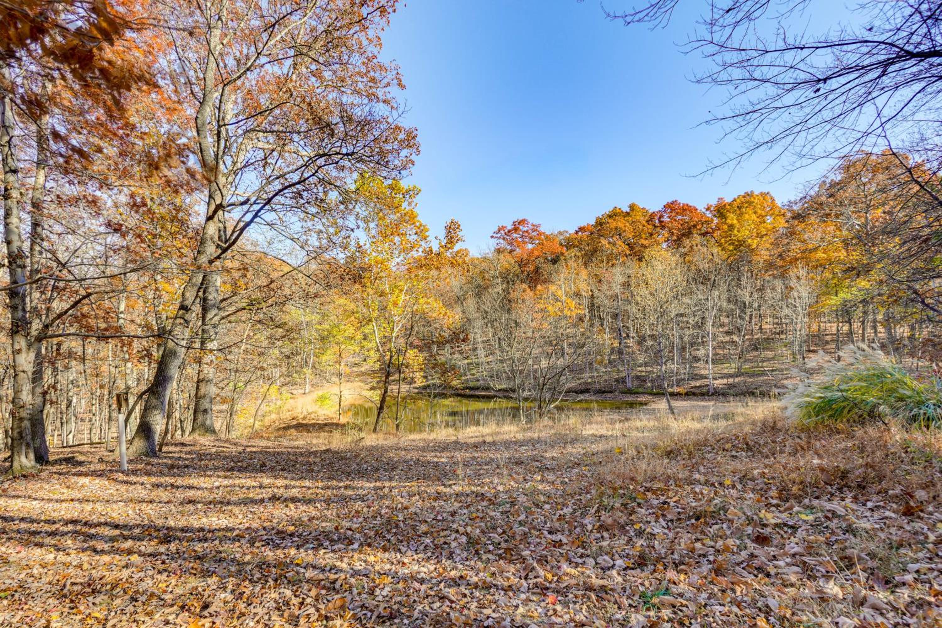 On-Site Trails, Pond! Rustic Harpers Ferry Cabin