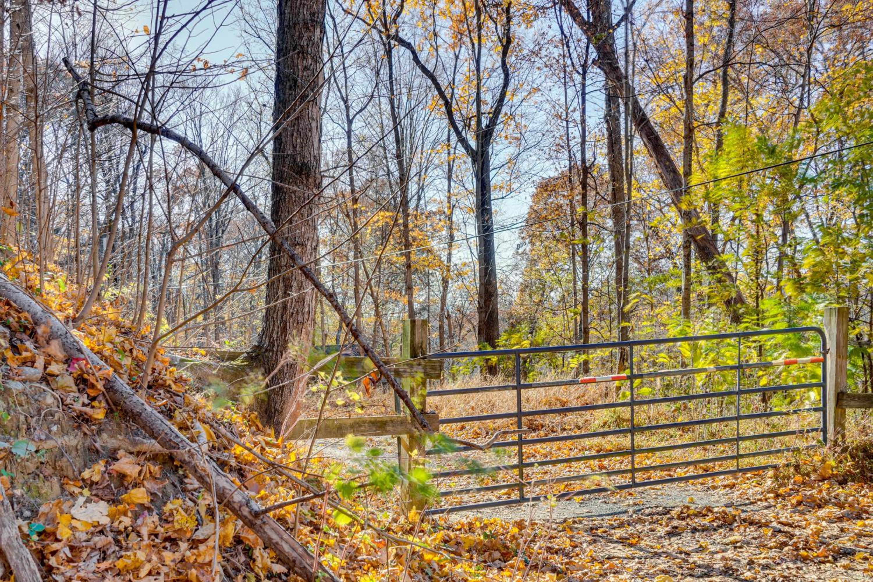 On-Site Trails, Pond! Rustic Harpers Ferry Cabin