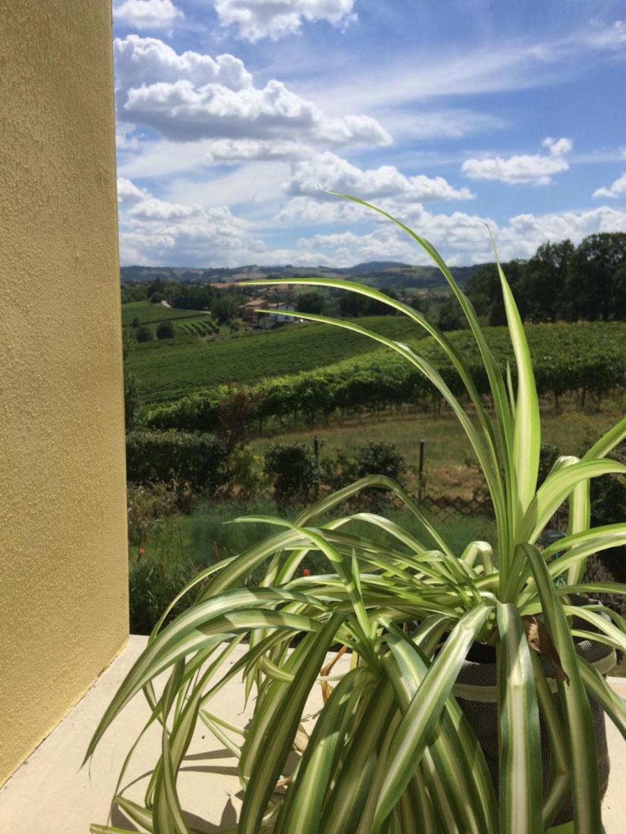 Il Giardino B&B