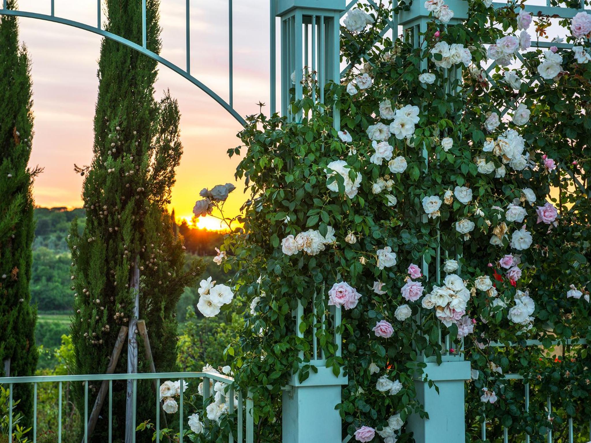 Relais Sassa al Sole