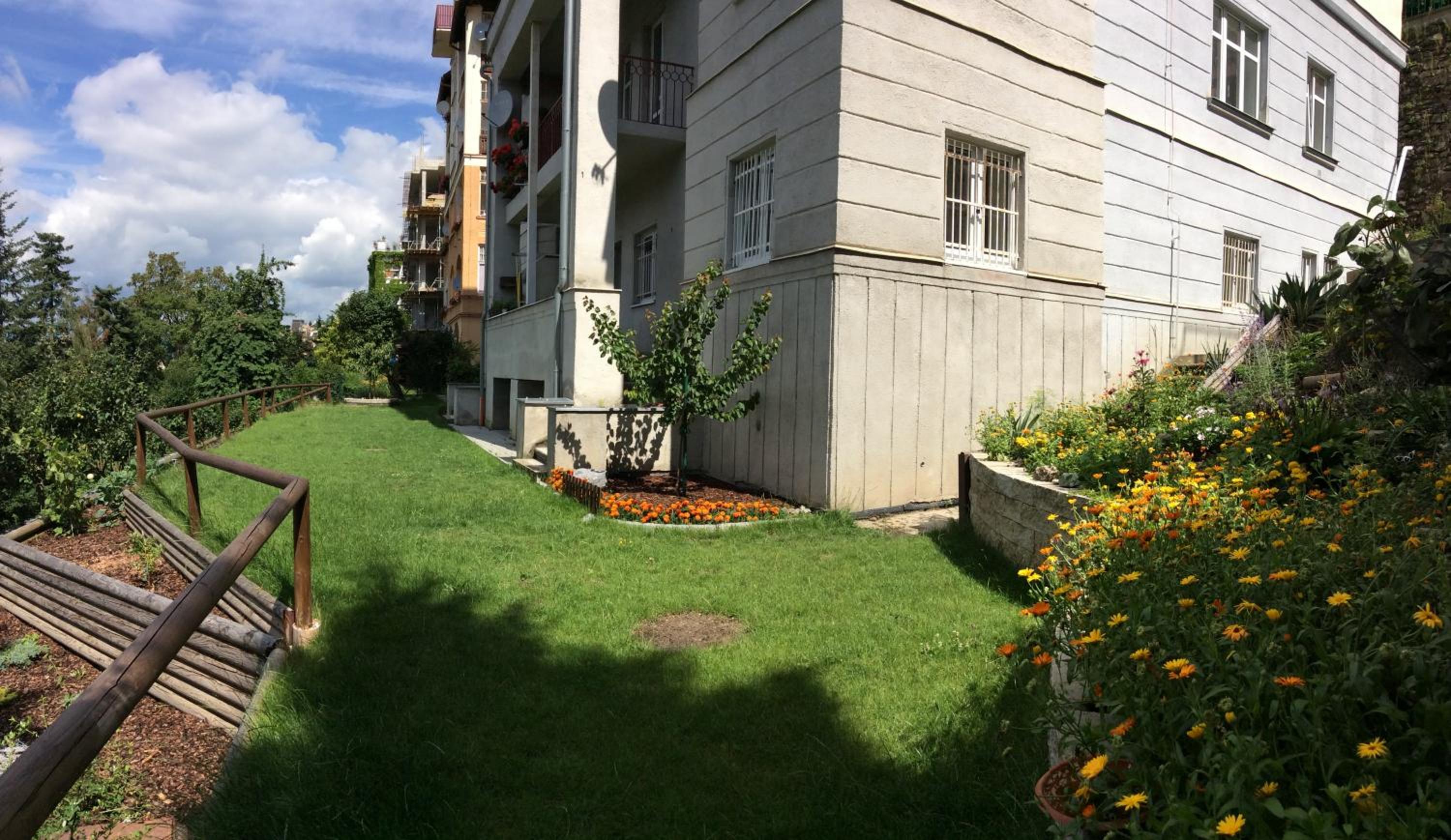 Photo 8