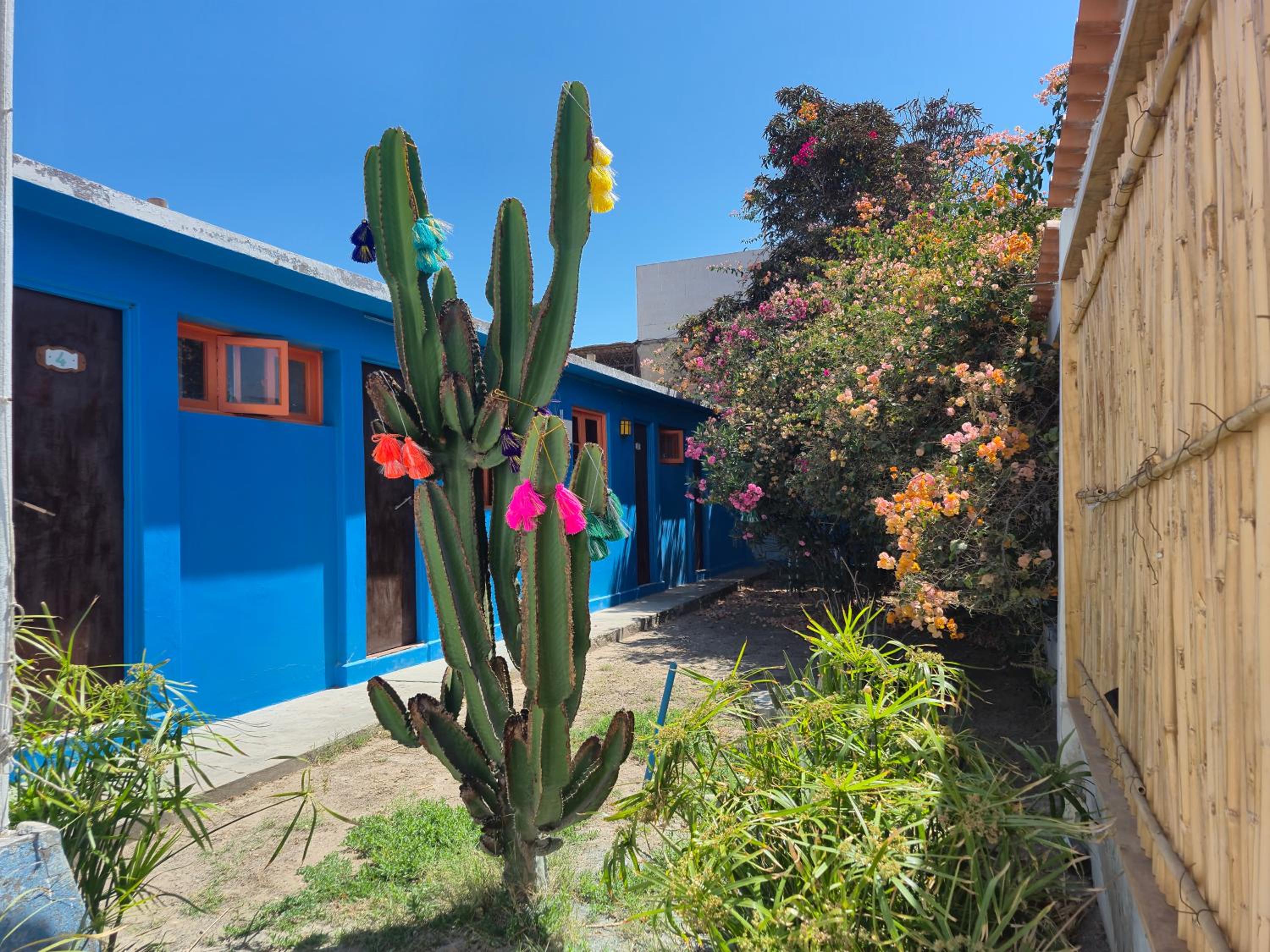 Illariy Wasi Hostal