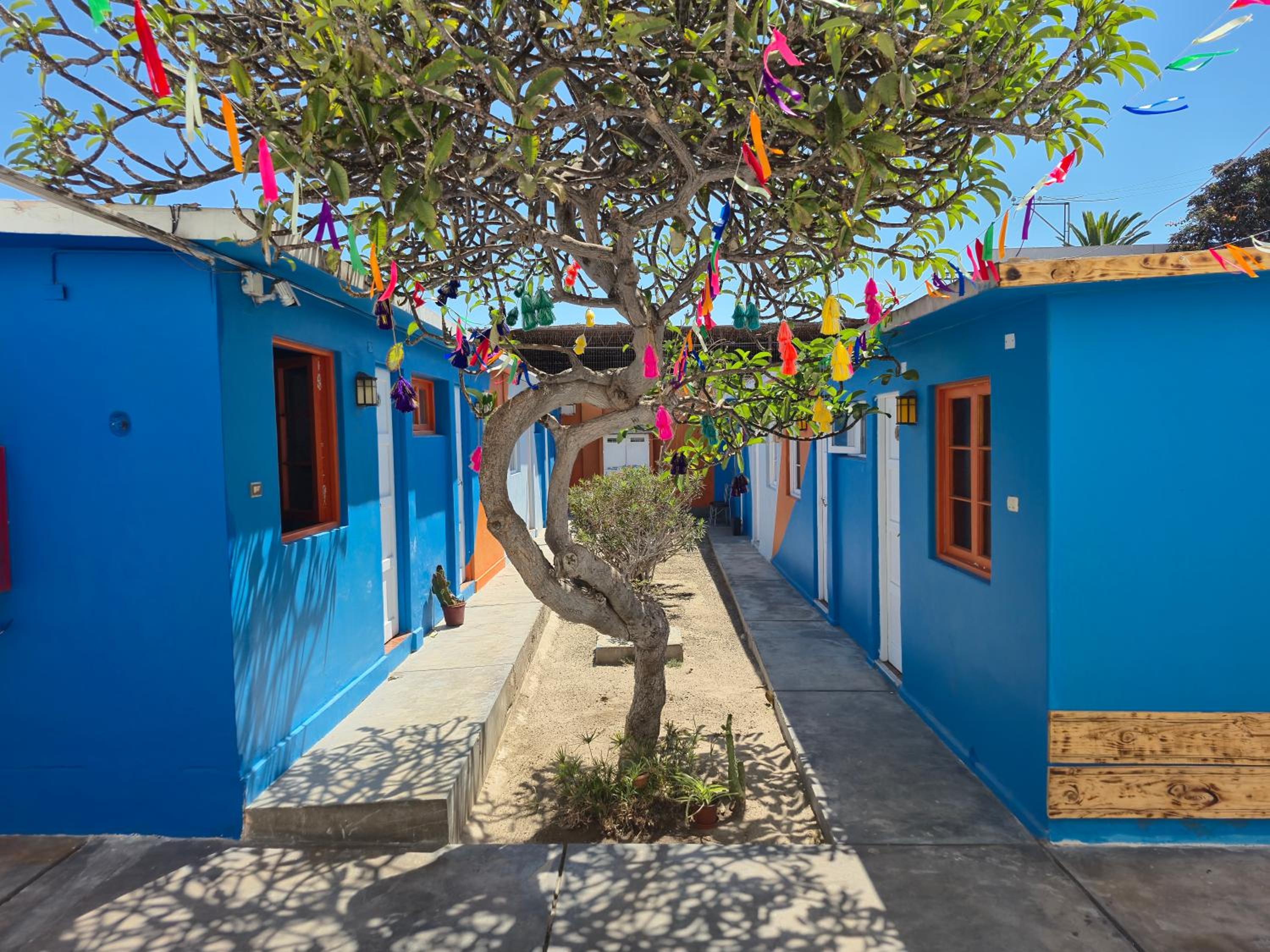 Illariy Wasi Hostal
